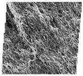 Fractalfract 06 00734 i055