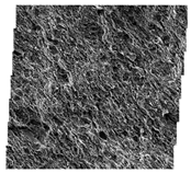 Fractalfract 06 00734 i058