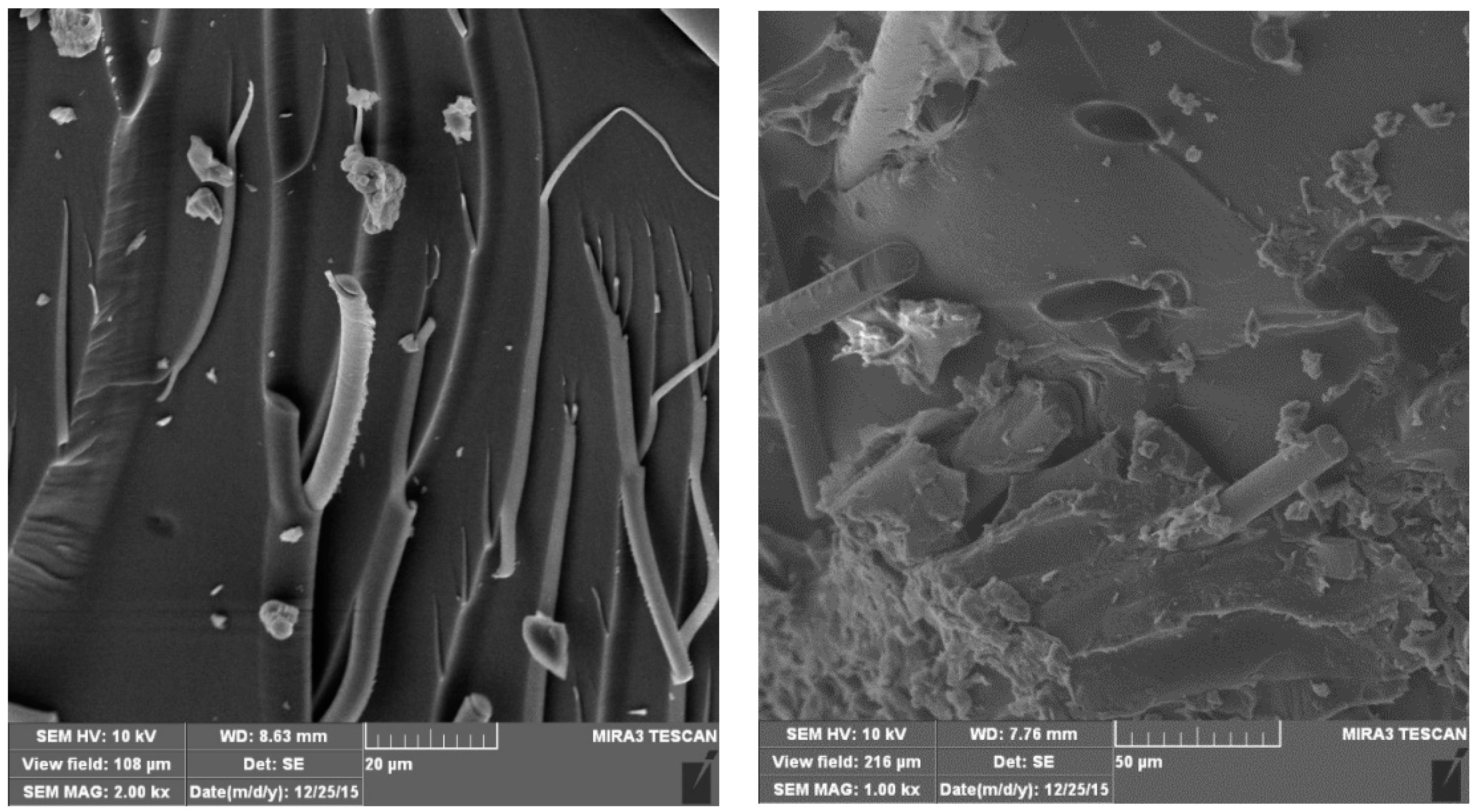 Fractalfract 06 00741 g002