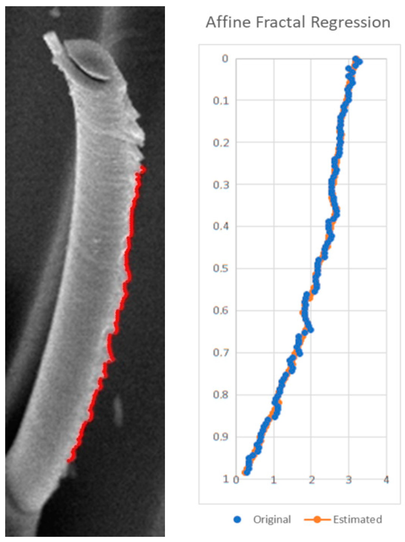 Fractalfract 06 00741 g003