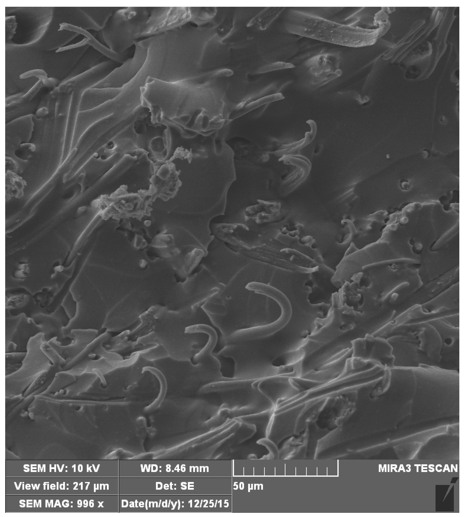 Fractalfract 06 00741 g004