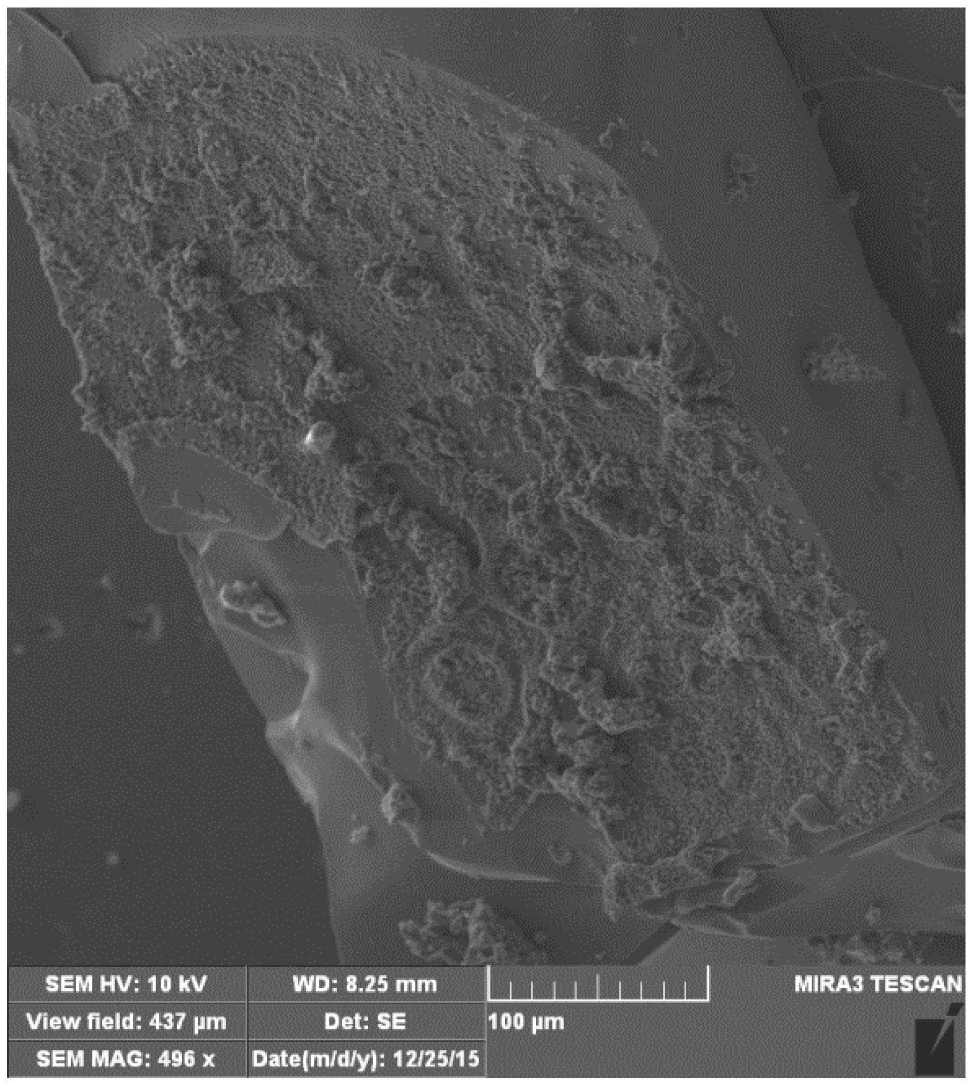 Fractalfract 06 00741 g006