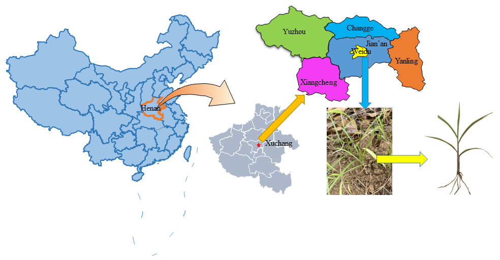 Fractalfract 07 00019 g001 Fractalfract 07 00019 g001