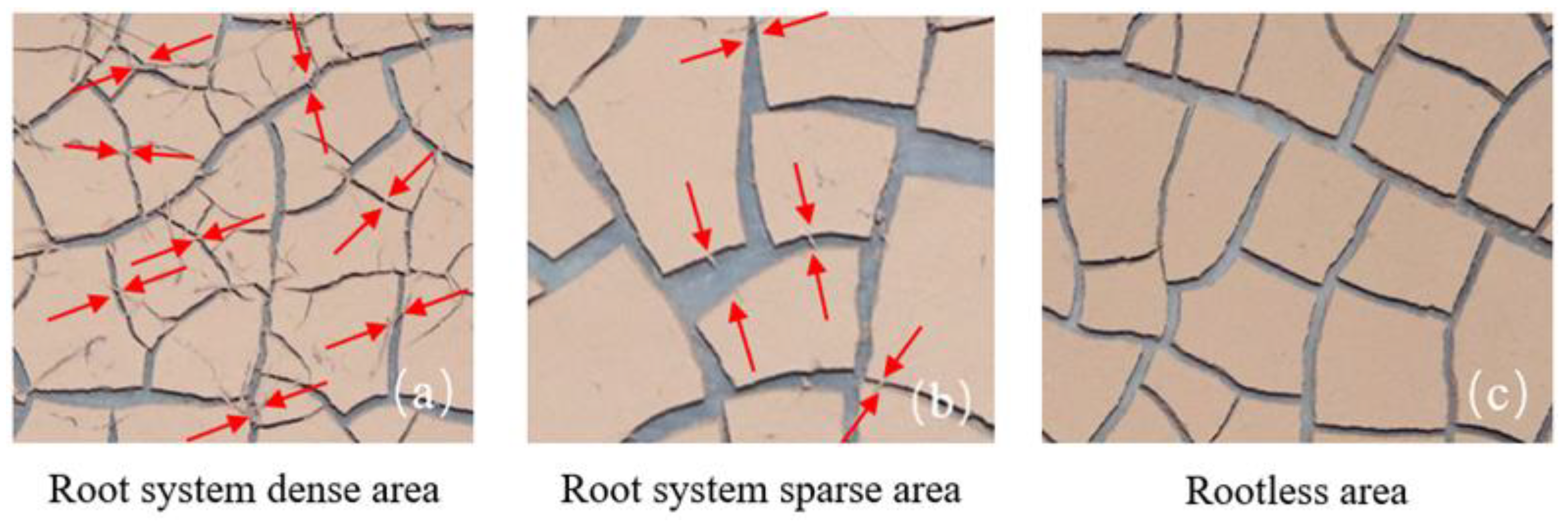 Fractalfract 07 00019 g007 Fractalfract 07 00019 g007