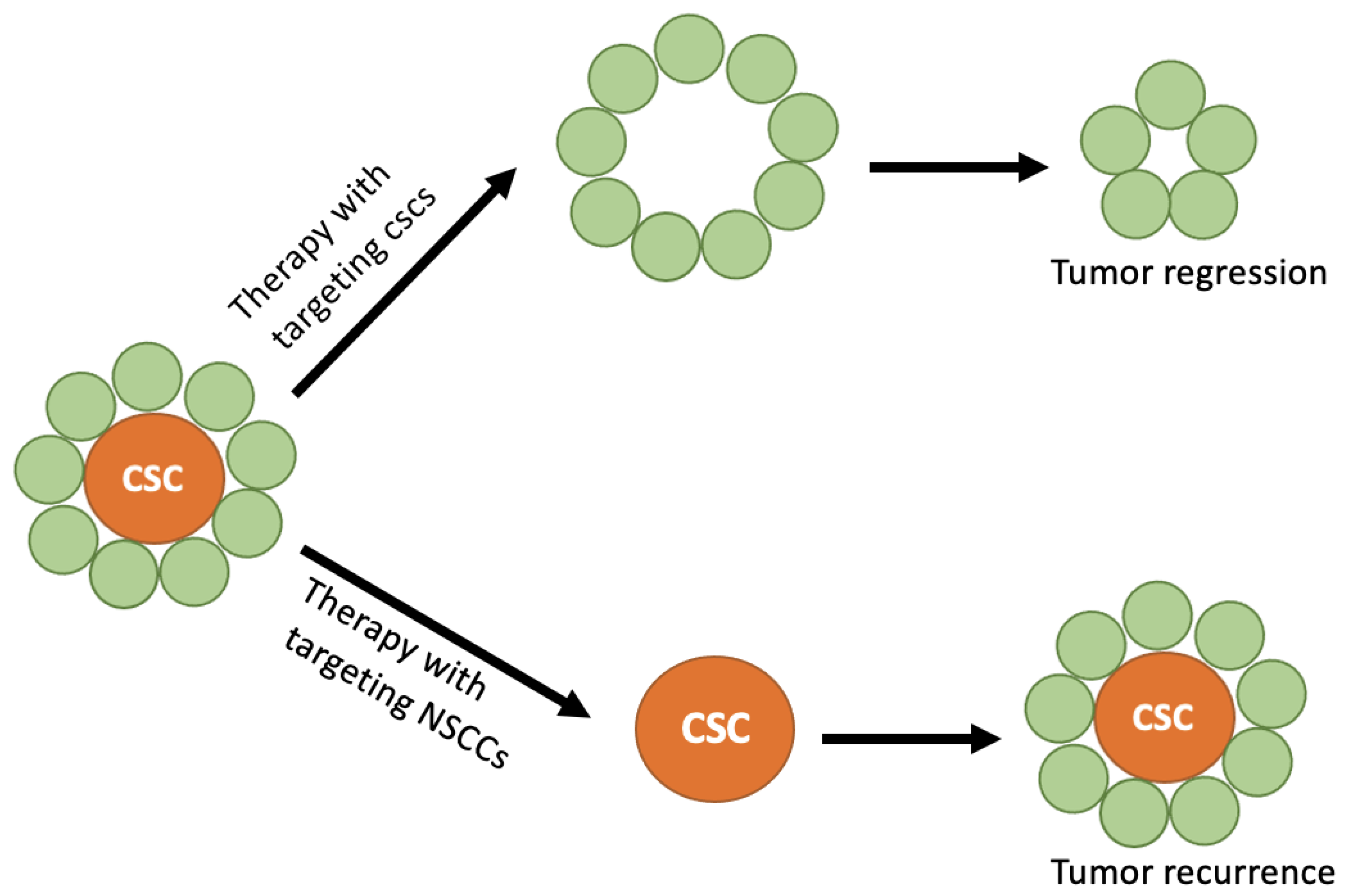 Fractalfract 07 00027 g001