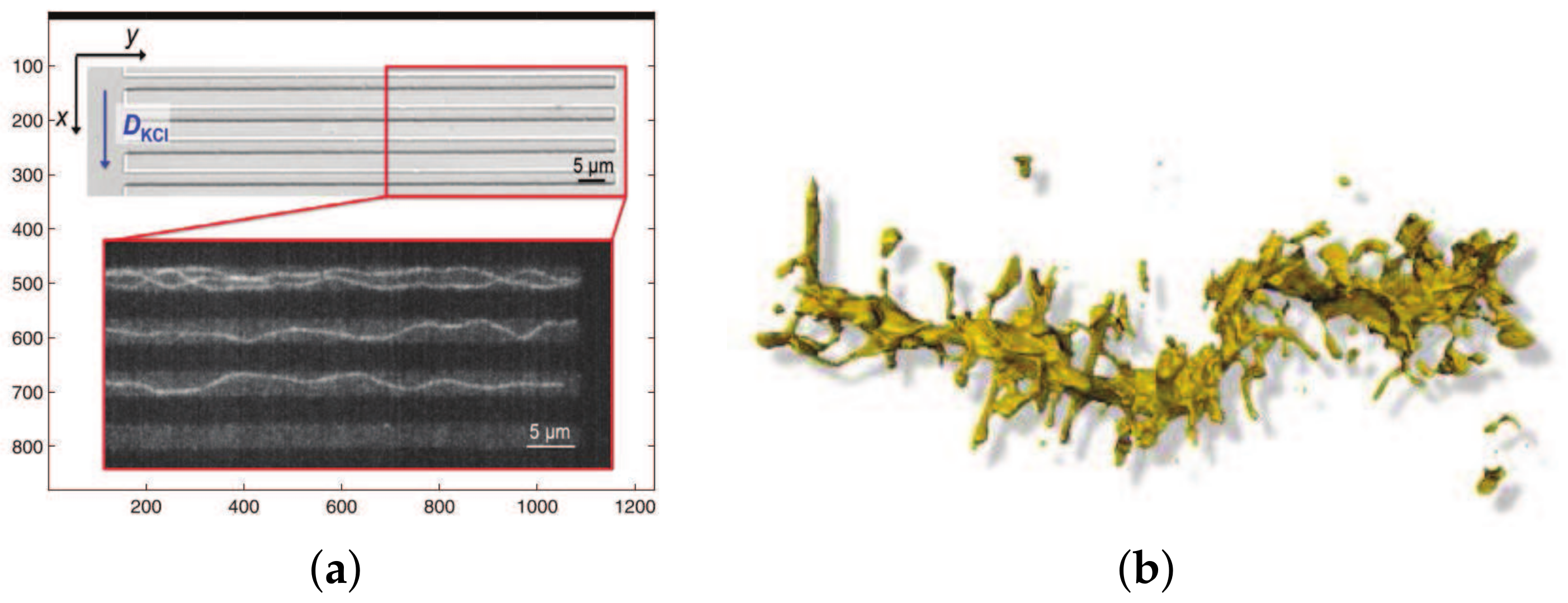 Fractalfract 07 00239 g001 Fractalfract 07 00239 g001