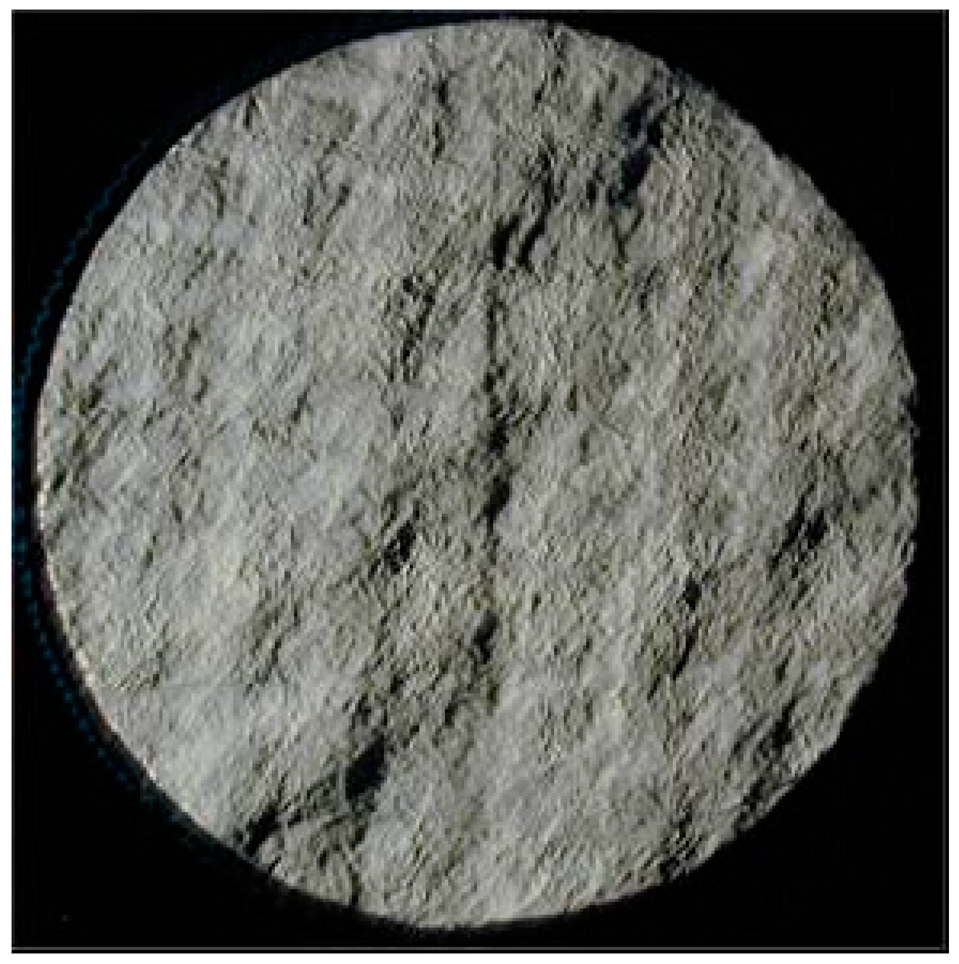 Fractalfract 07 00387 g004 Fractalfract 07 00387 g004