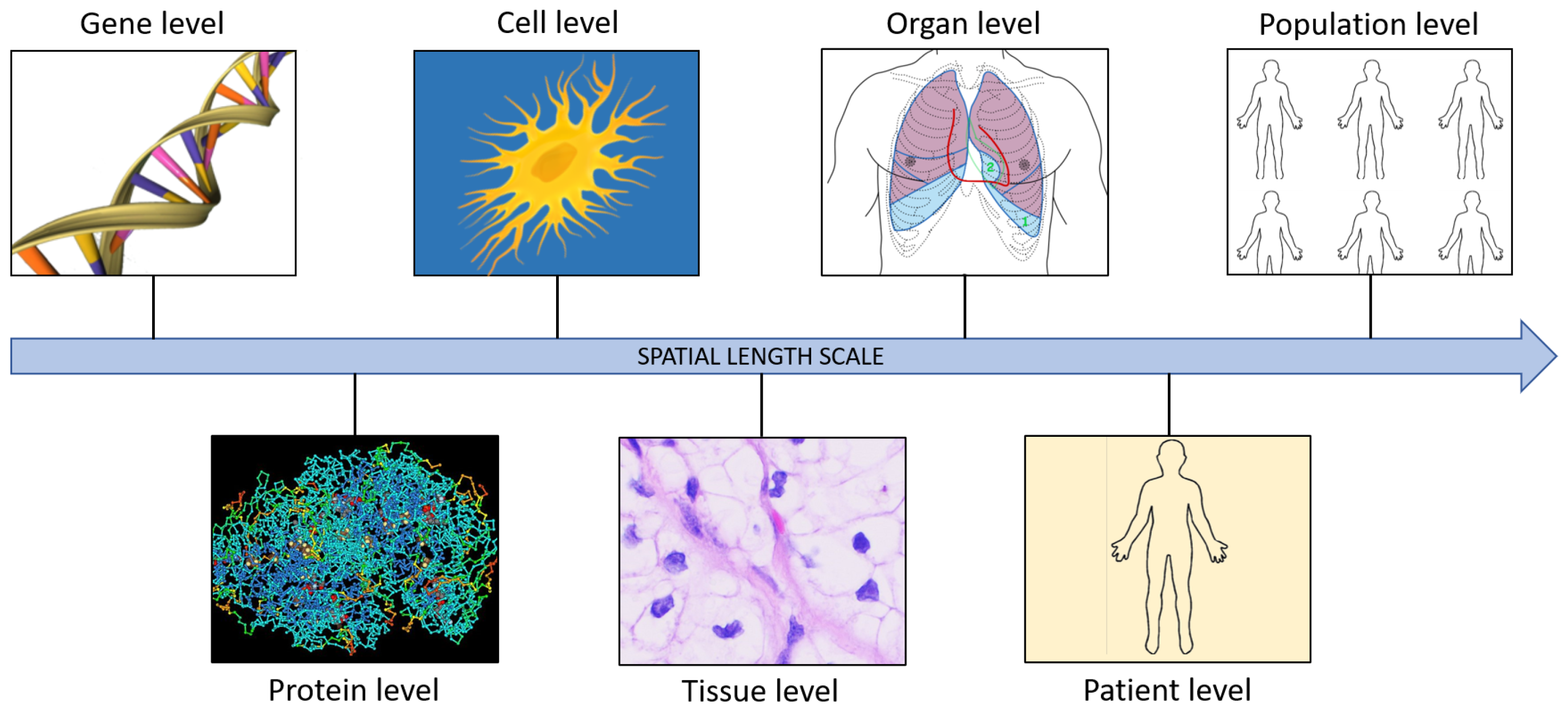 Fractalfract 07 00595 g002