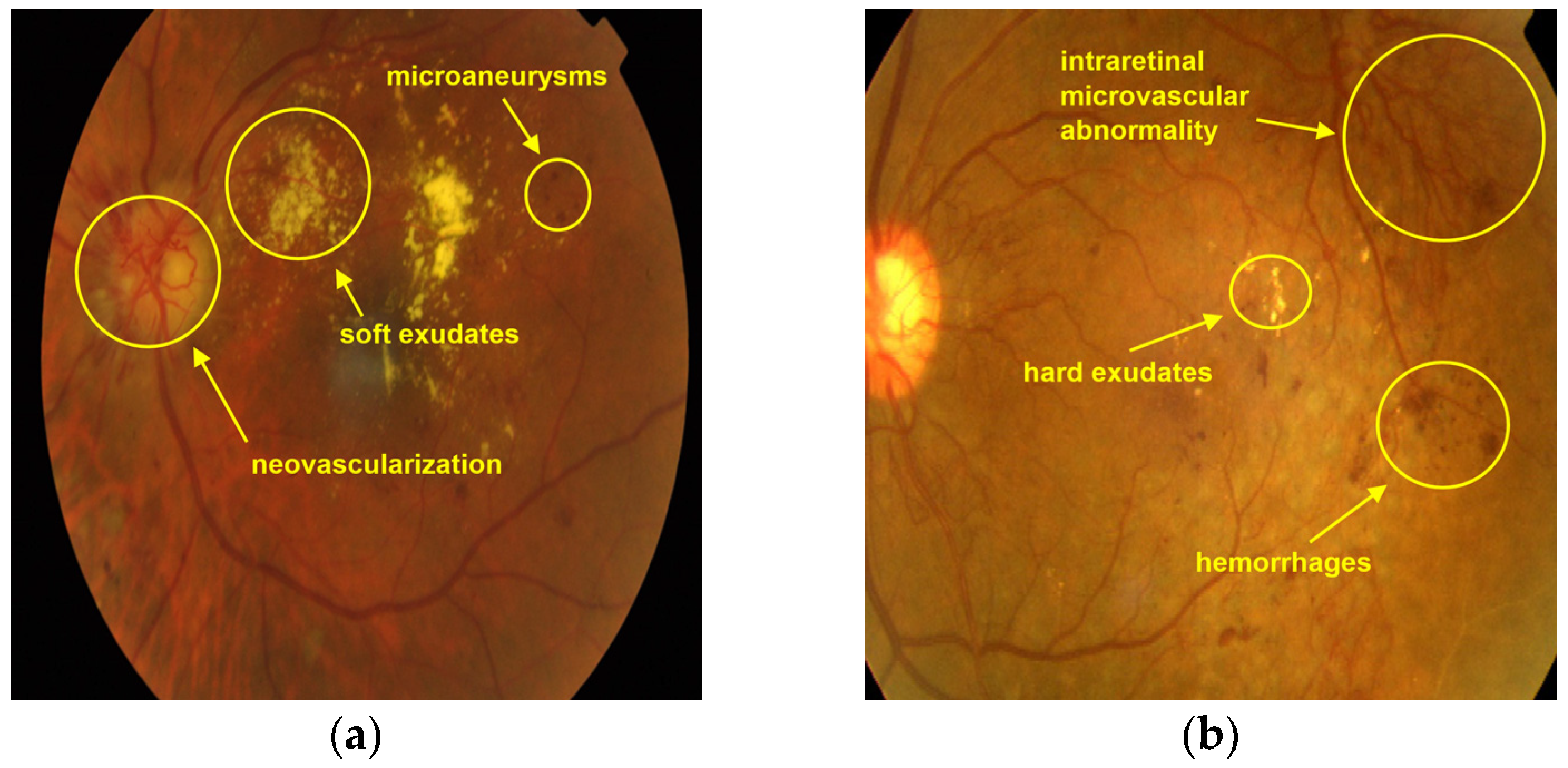 Fractalfract 07 00598 g001