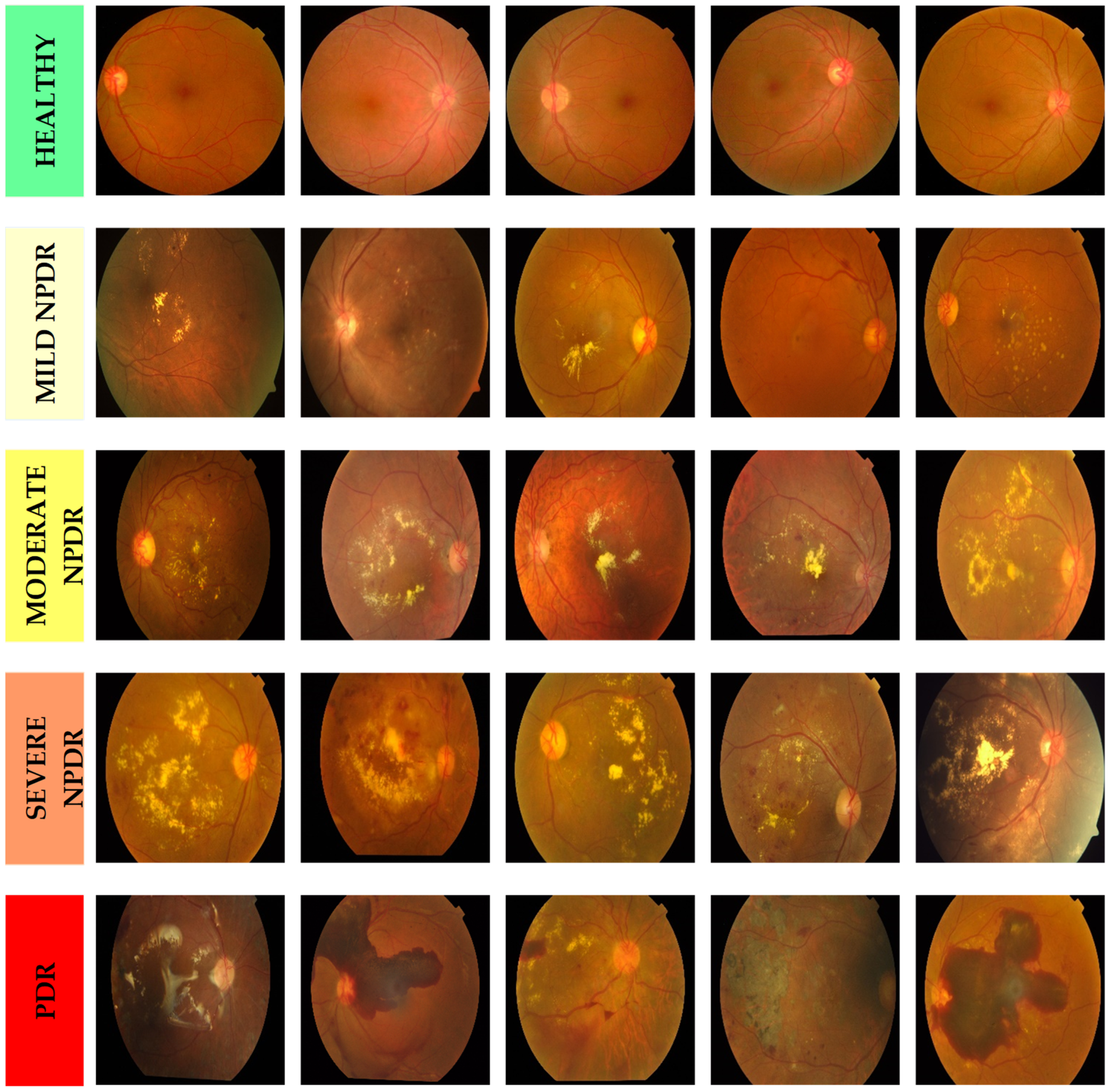 Fractalfract 07 00598 g012