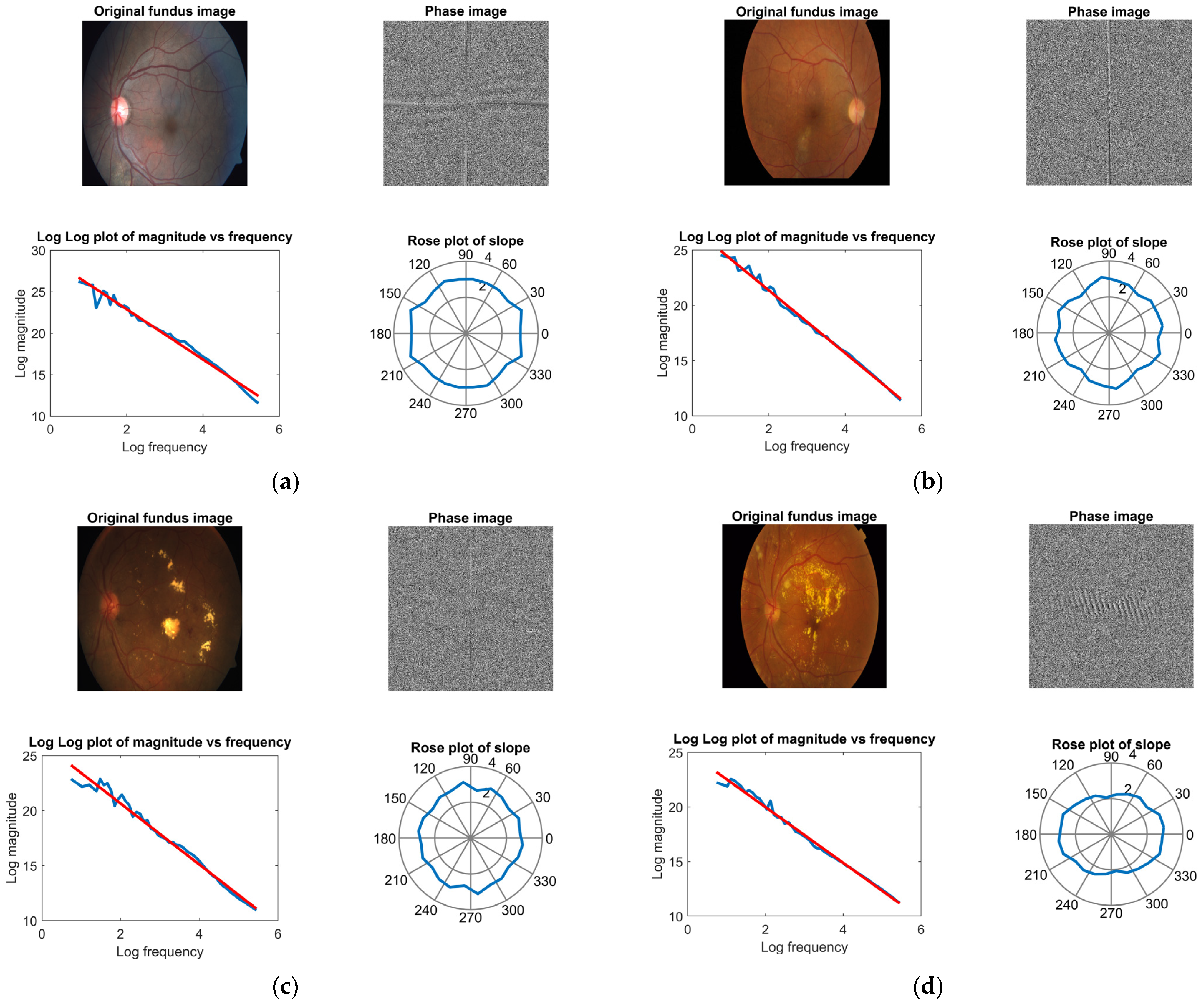 Fractalfract 07 00598 g013a