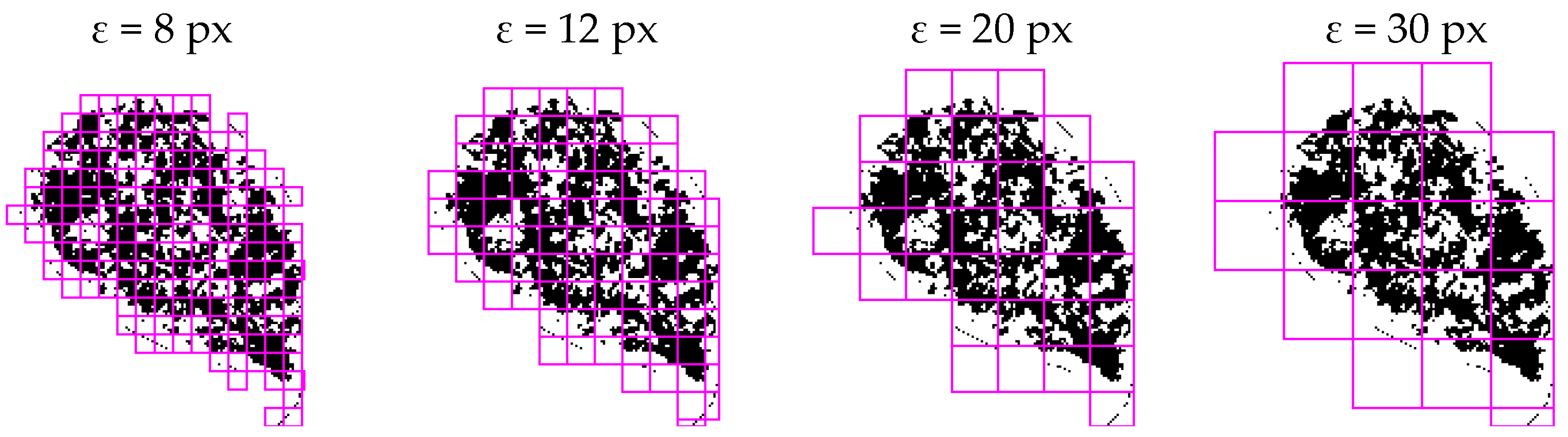 Fractalfract 07 00619 g001
