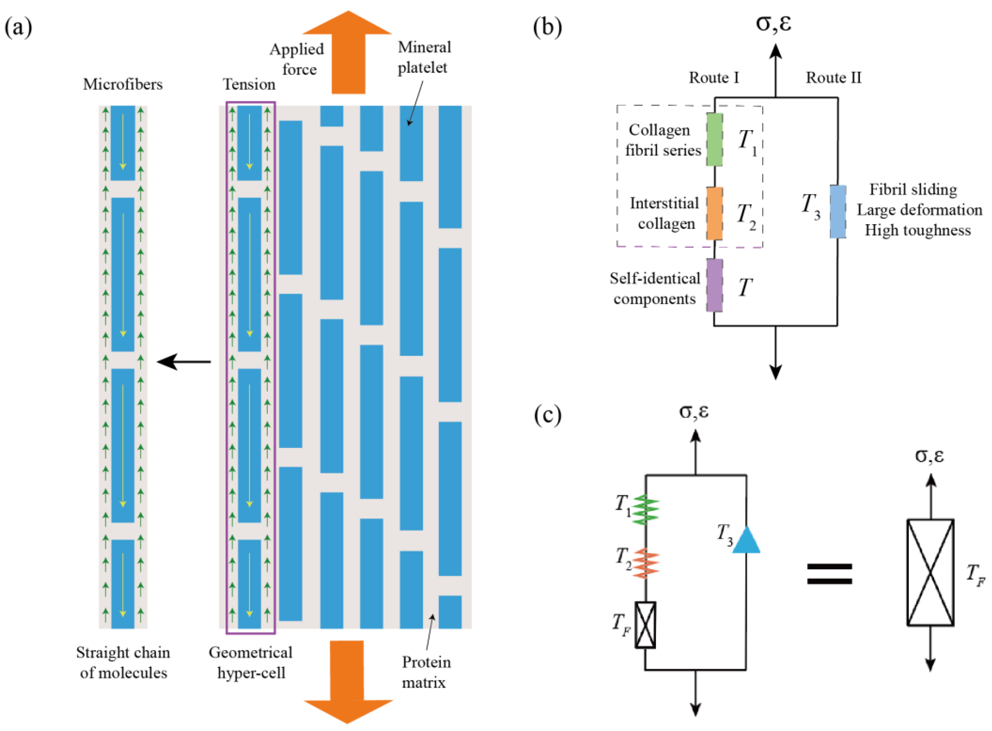 Fractalfract 07 00707 g002
