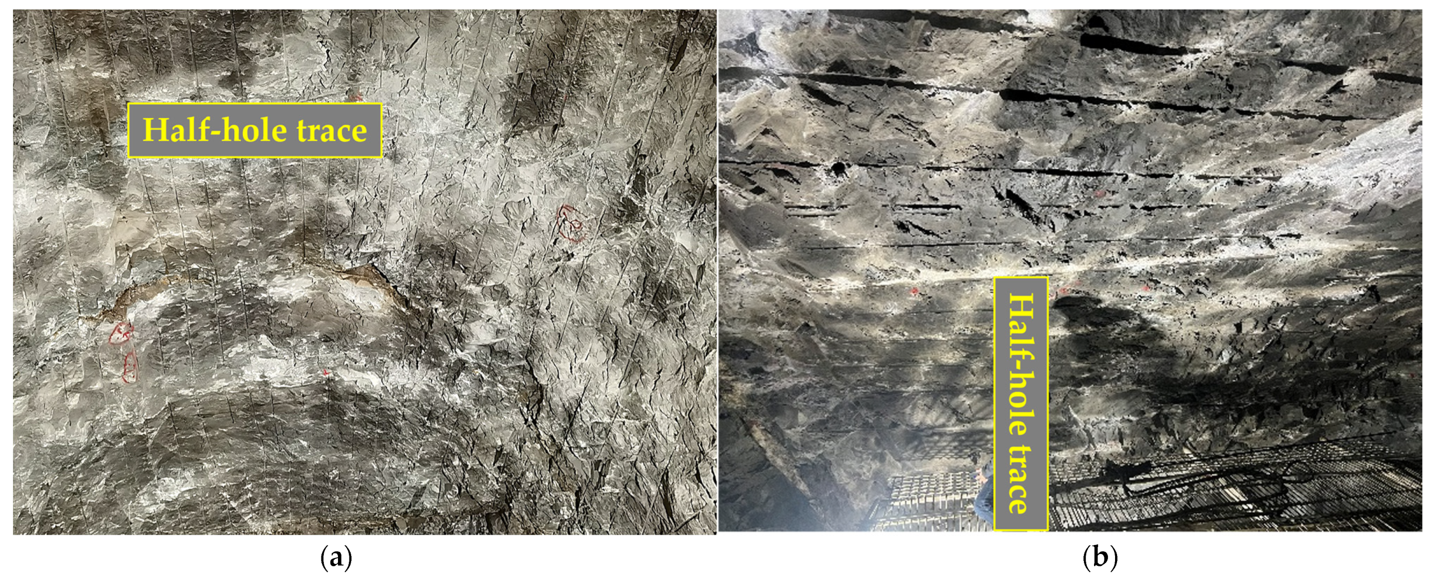 Fractalfract 07 00842 g010