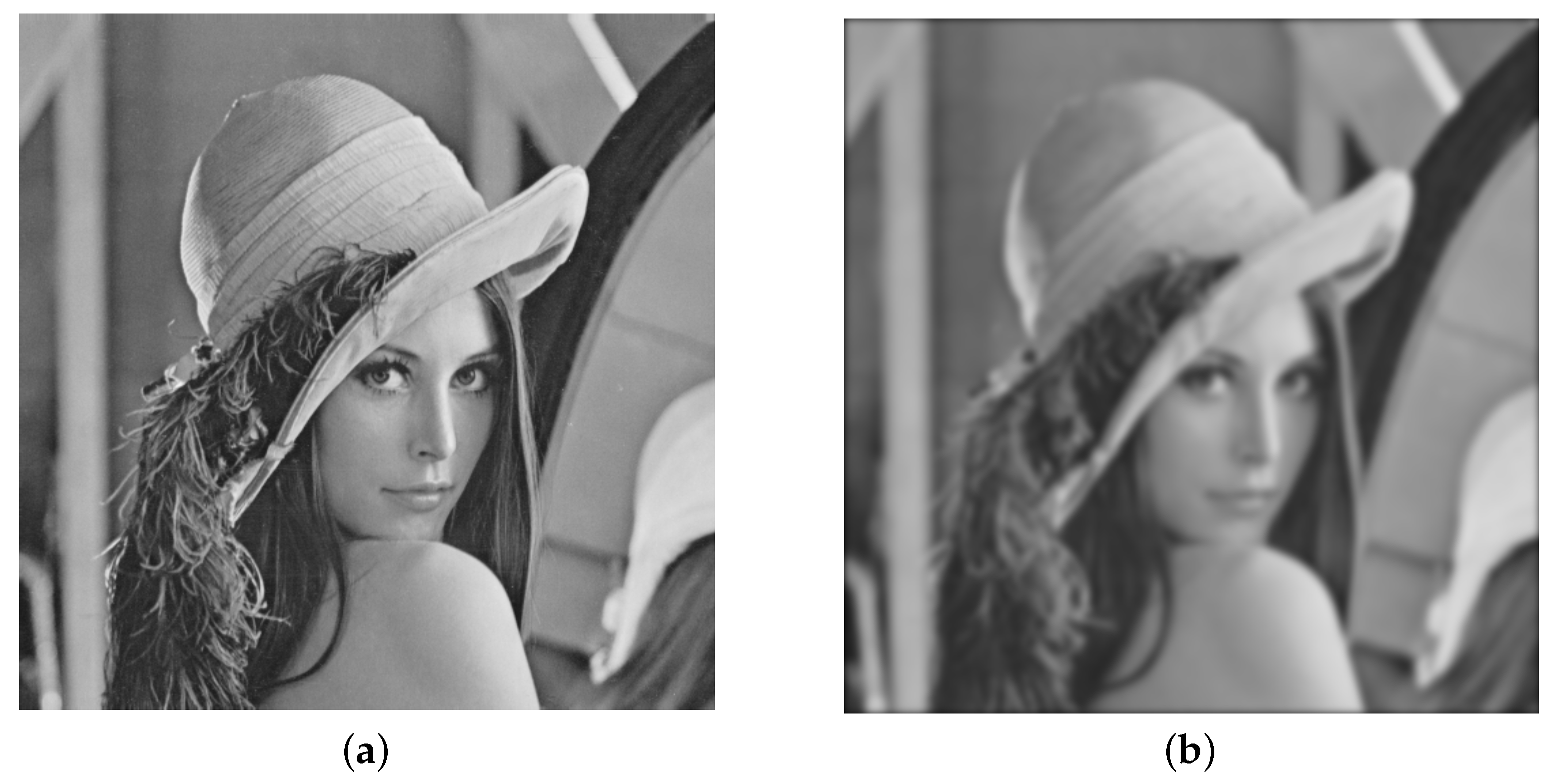 Fractalfract 07 00881 g003a