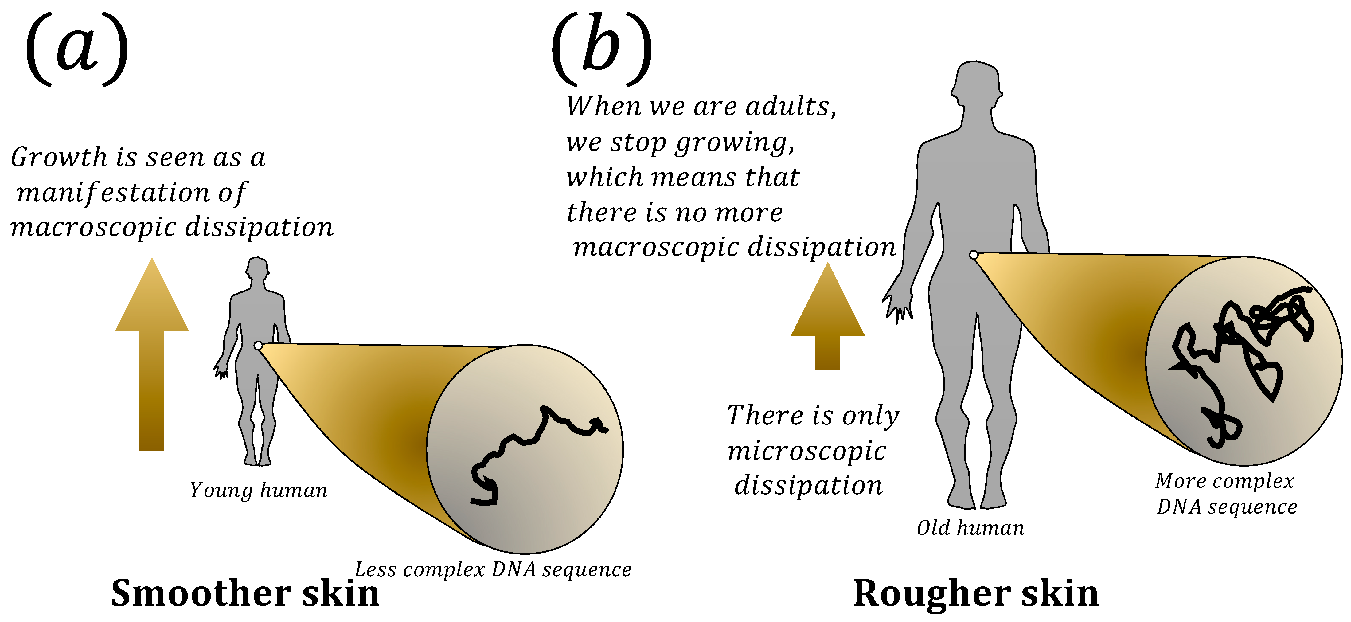 Fractalfract 08 00035 g010 Fractalfract 08 00035 g010