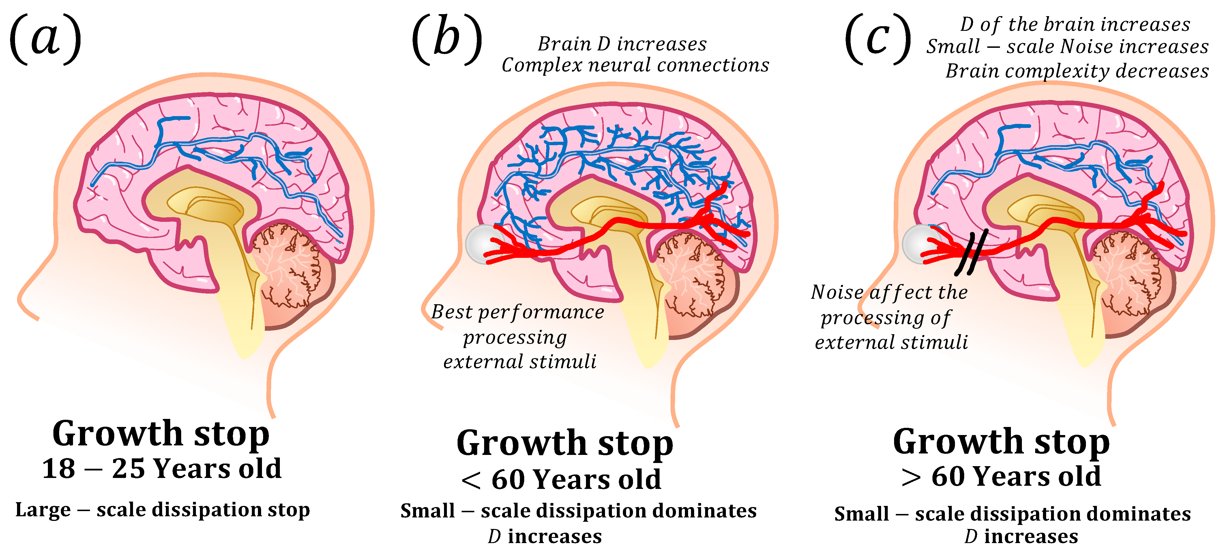 Fractalfract 08 00035 g011 Fractalfract 08 00035 g011