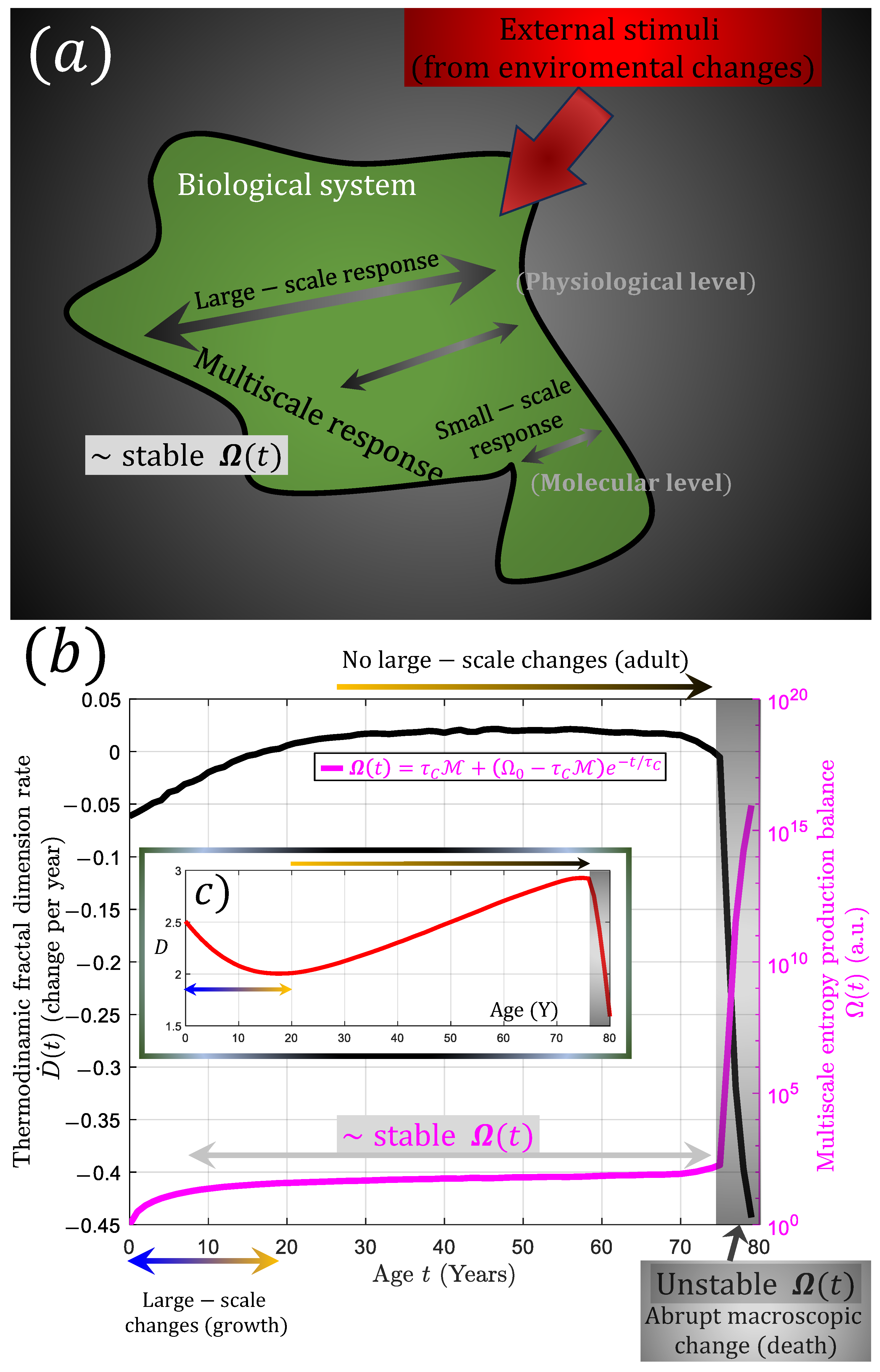 Fractalfract 08 00035 g012 Fractalfract 08 00035 g012