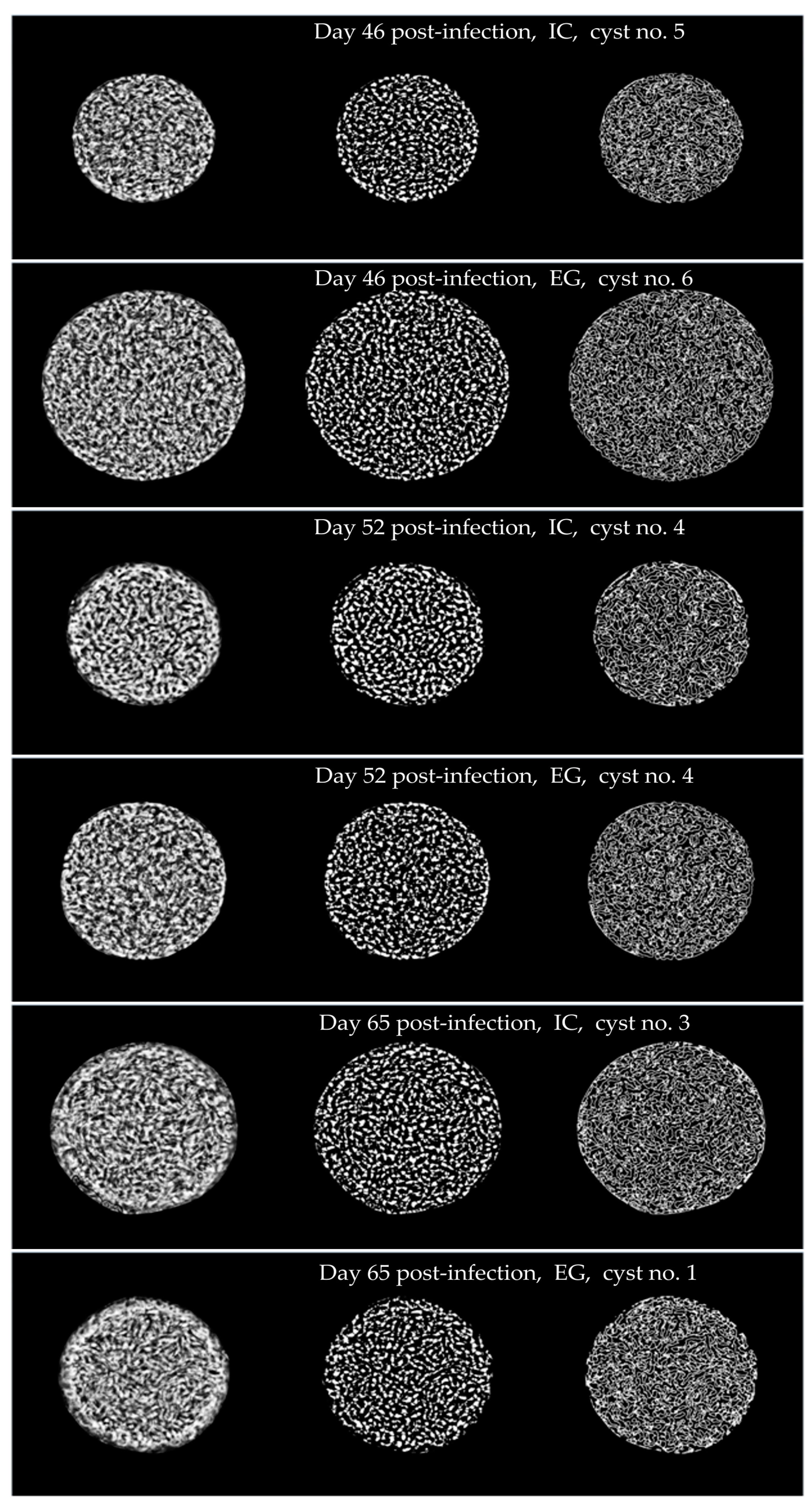 Fractalfract 08 00175 g002