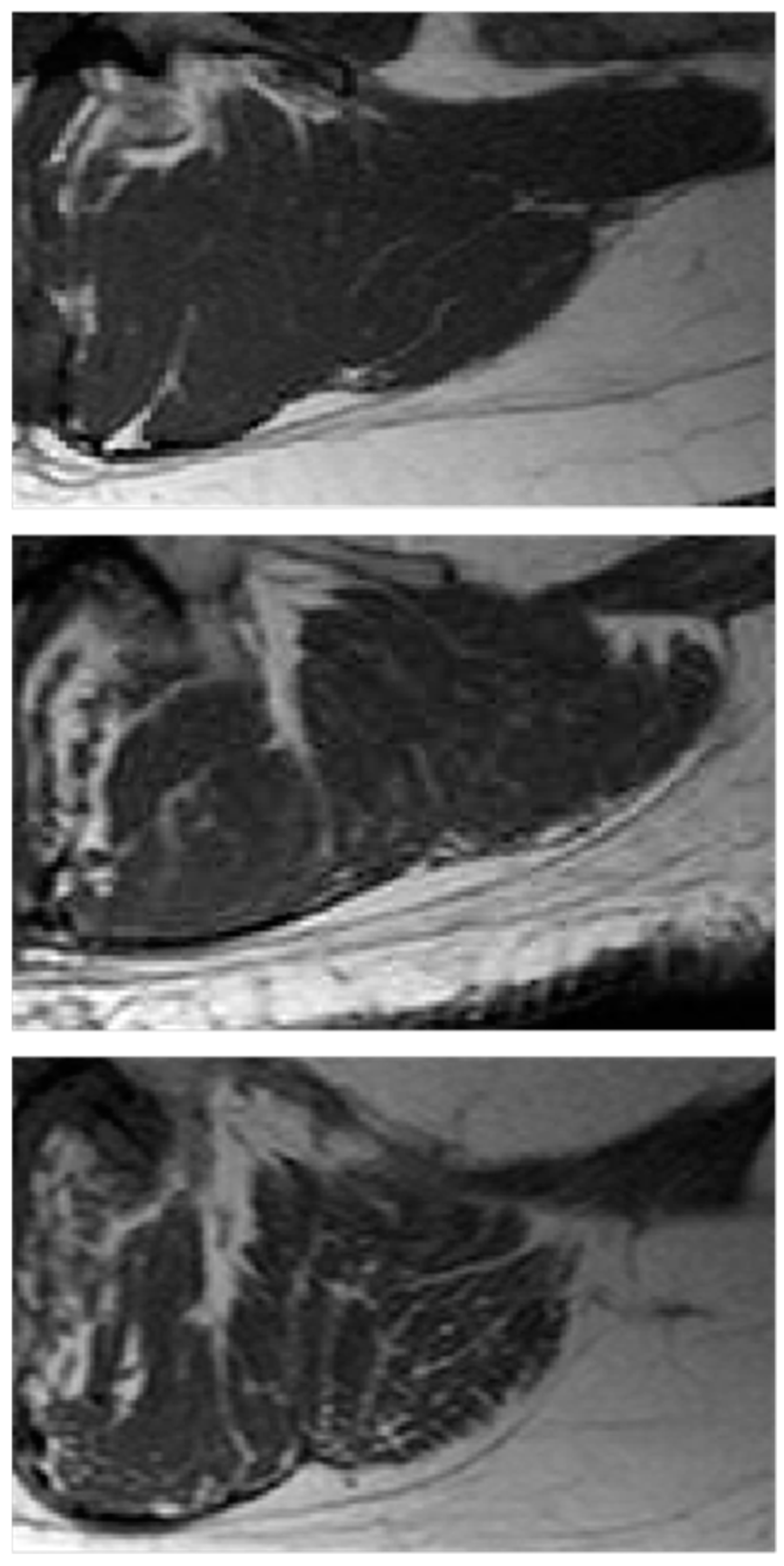 Fractalfract 08 00275 g001