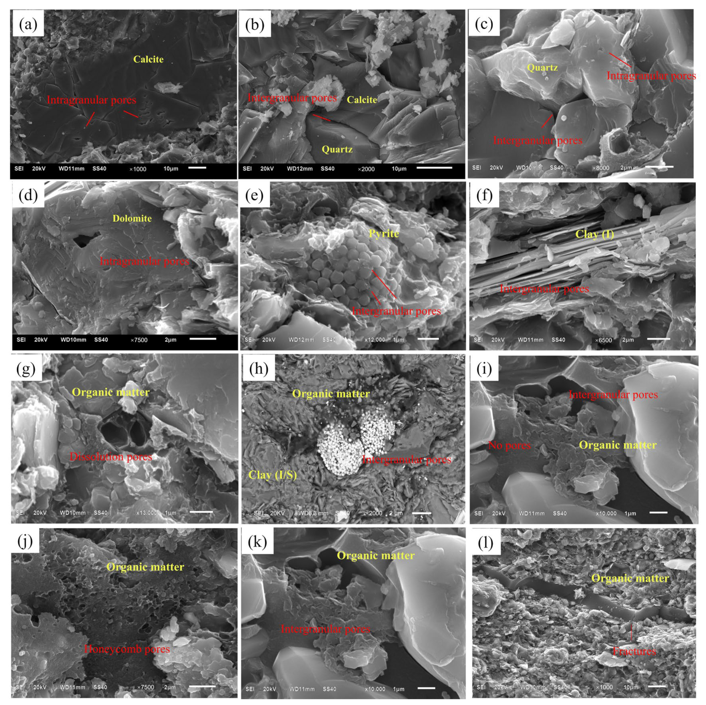 Fractalfract 08 00288 g004