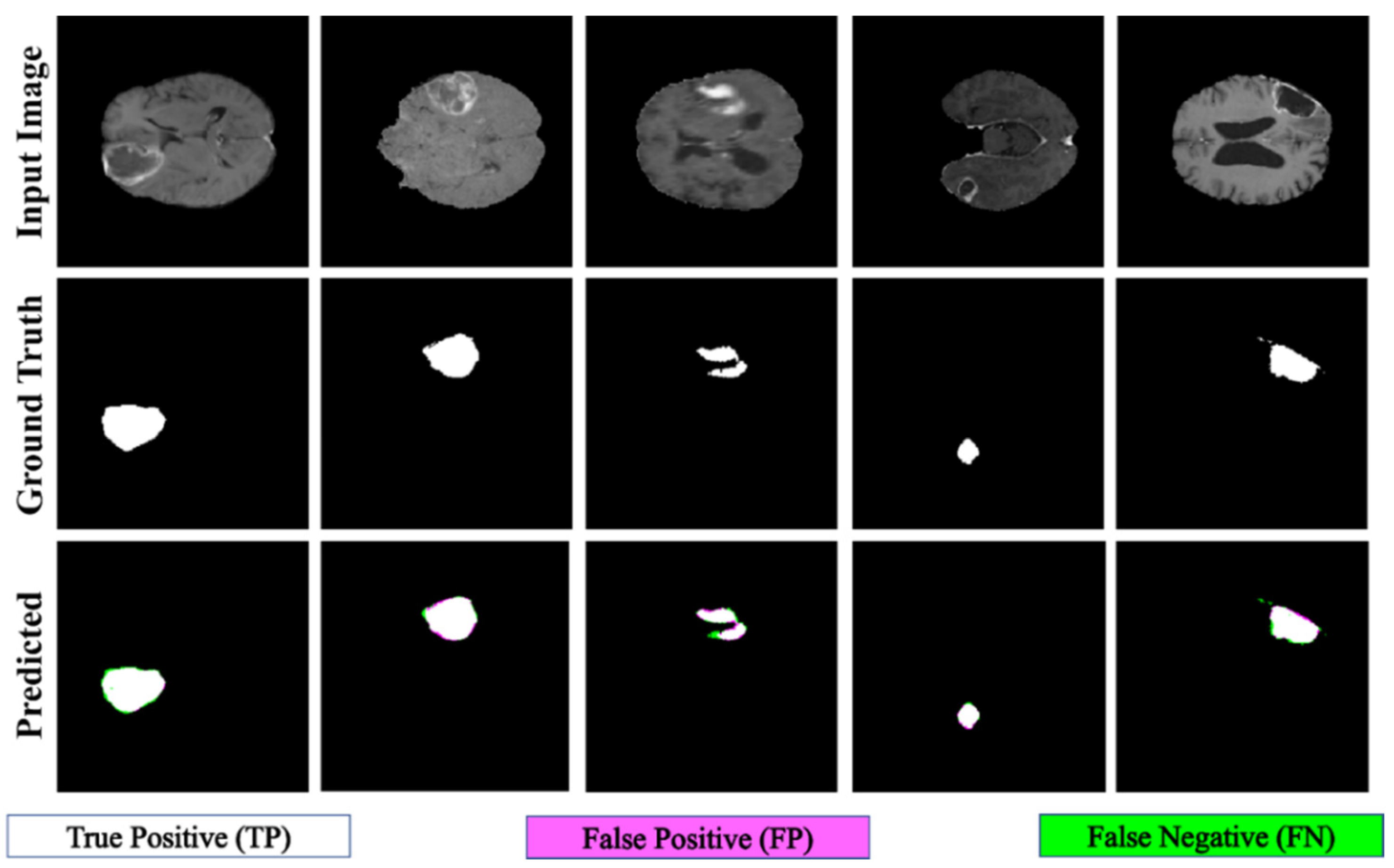 Fractalfract 08 00357 g008