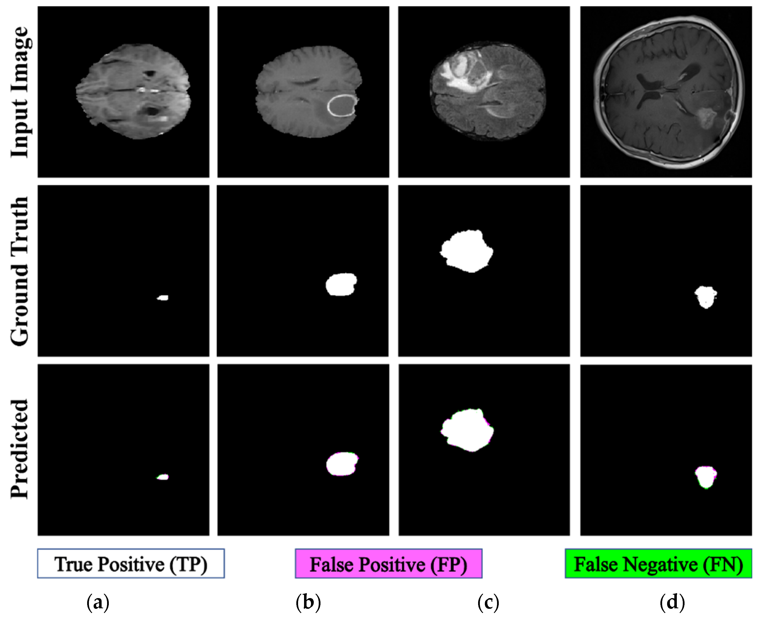Fractalfract 08 00357 g016