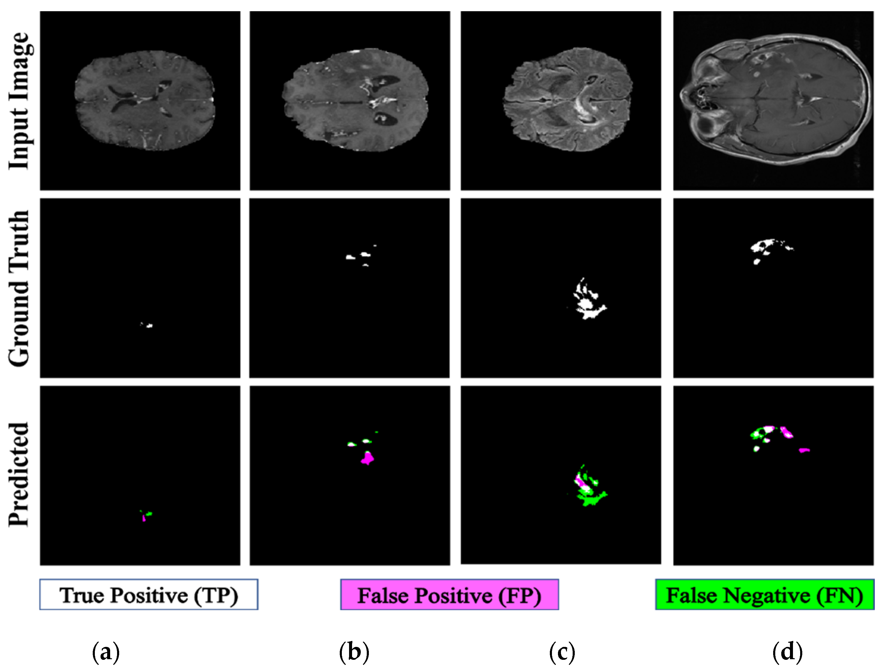 Fractalfract 08 00357 g017