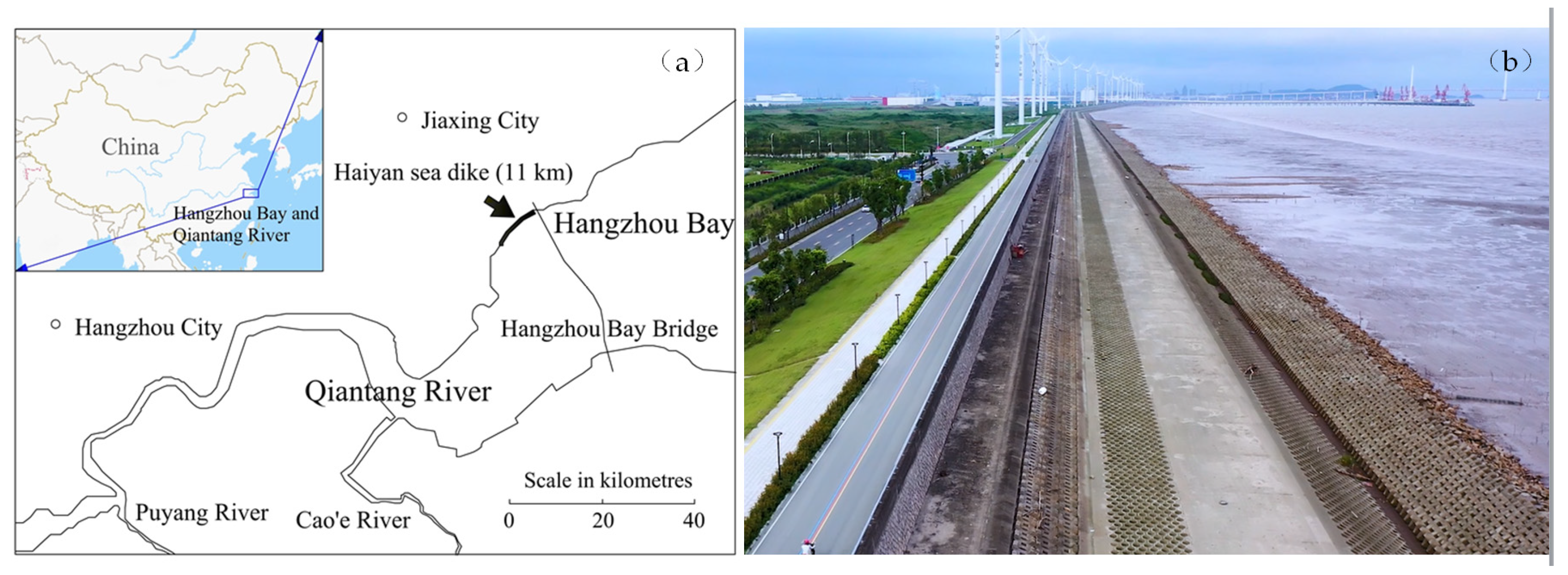 Fractalfract 08 00423 g004