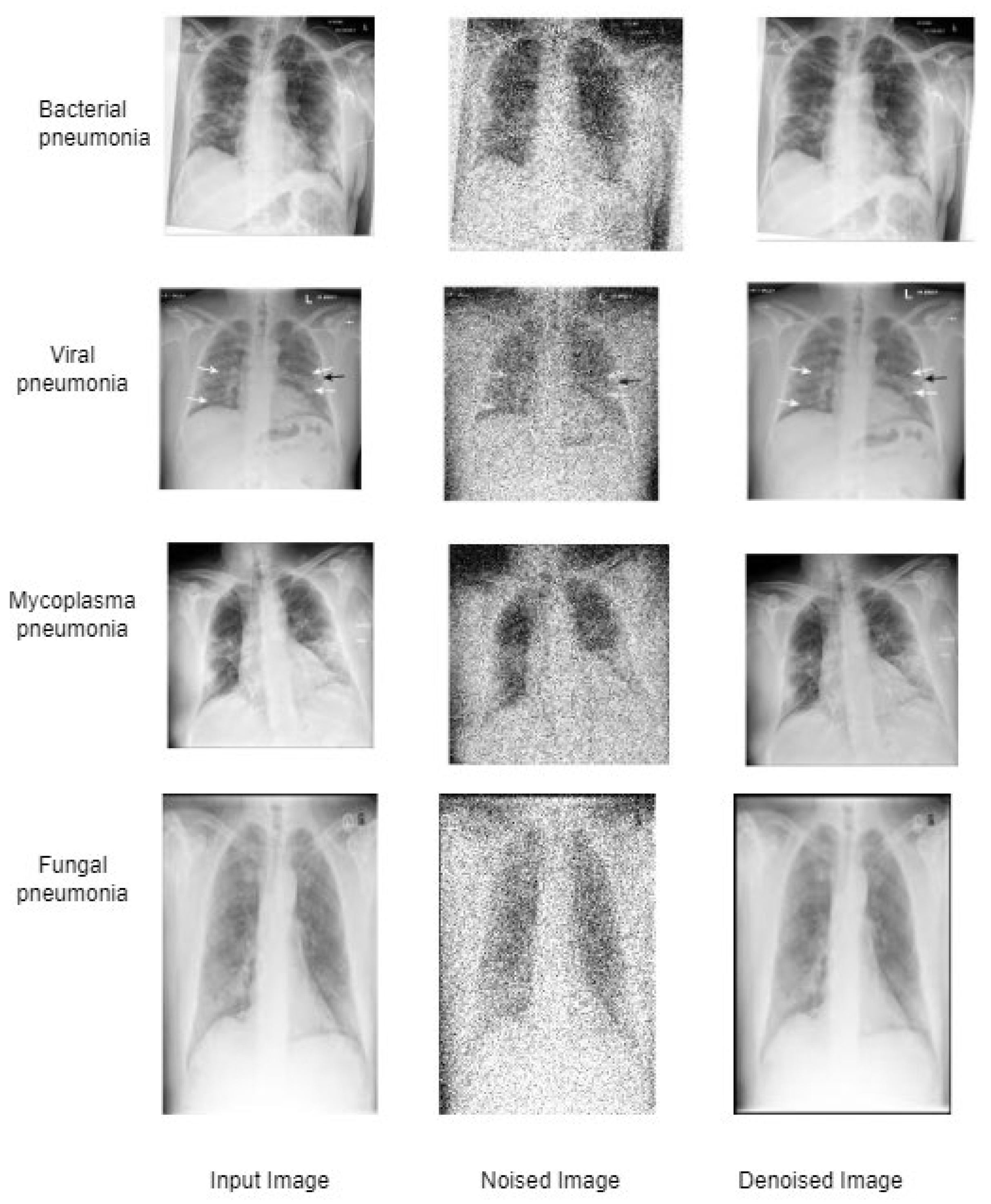 Fractalfract 08 00511 g008