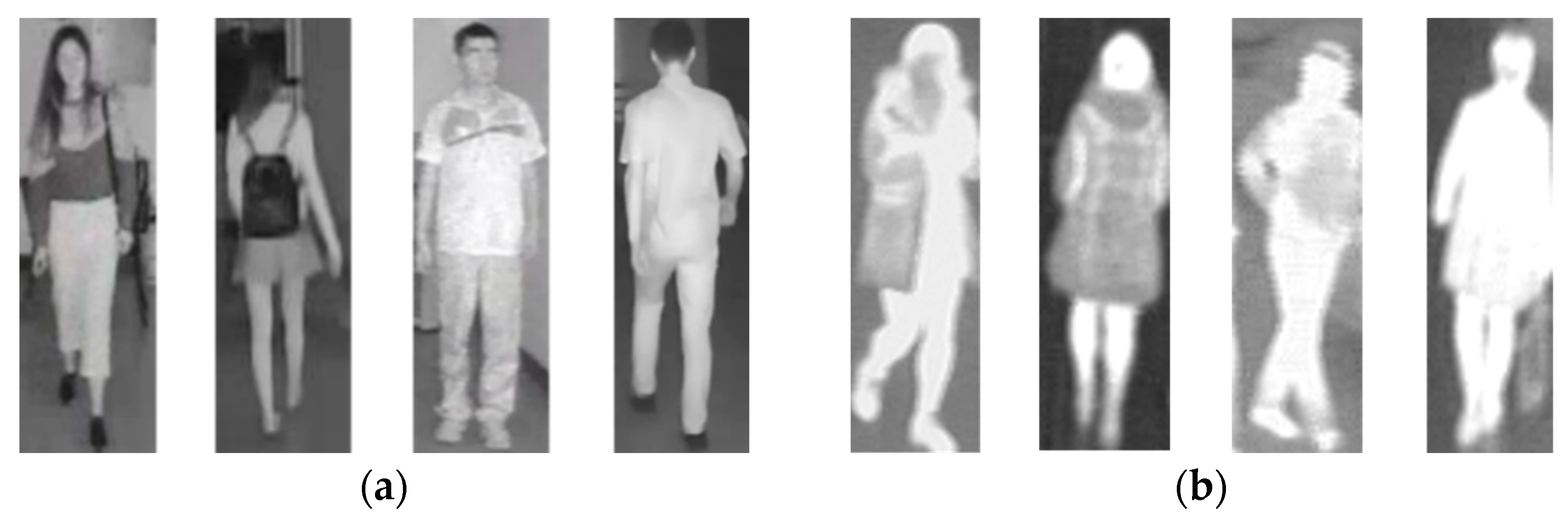 Fractalfract 08 00551 g006