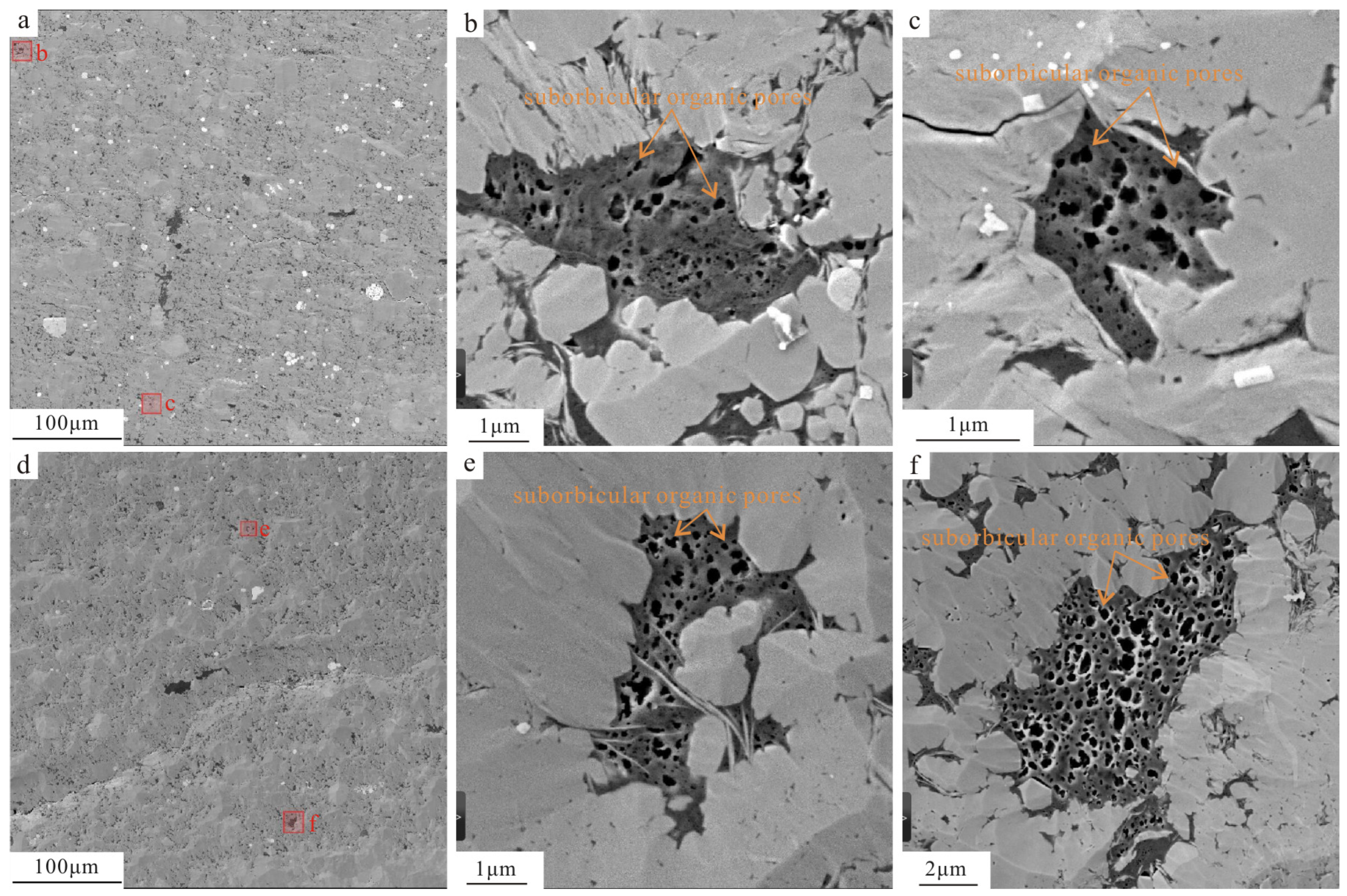 Fractalfract 08 00555 g010