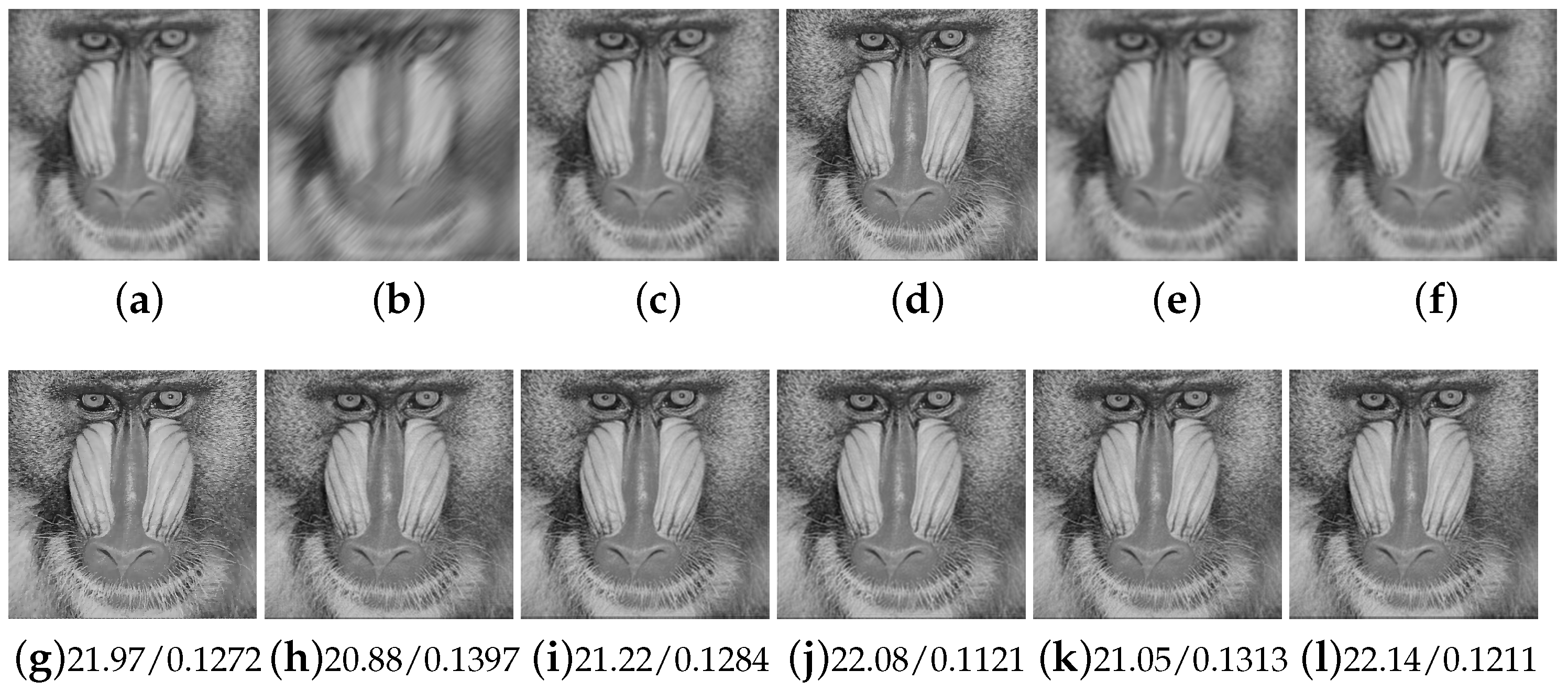 Fractalfract 08 00567 g011