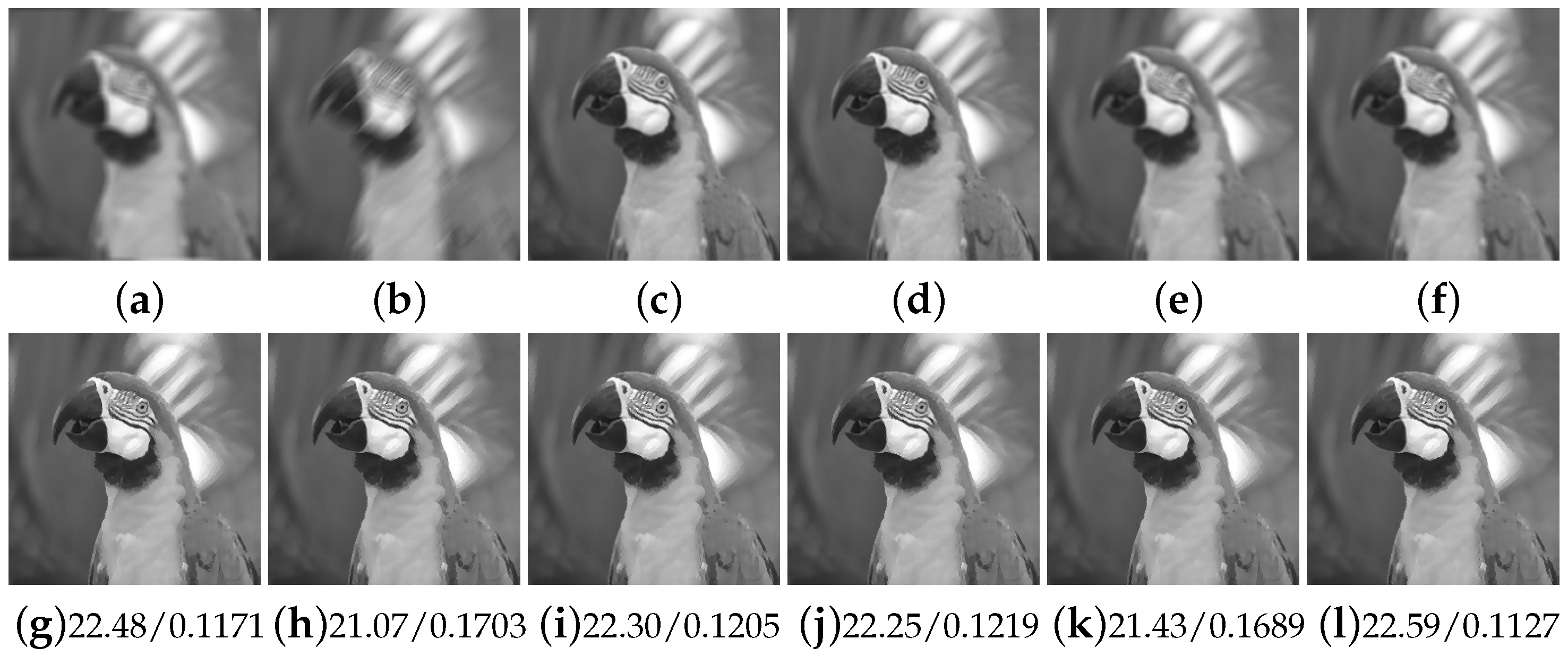 Fractalfract 08 00567 g014