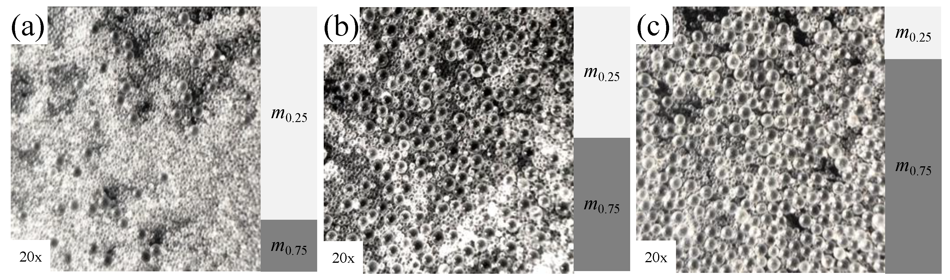 Fractalfract 08 00578 g002