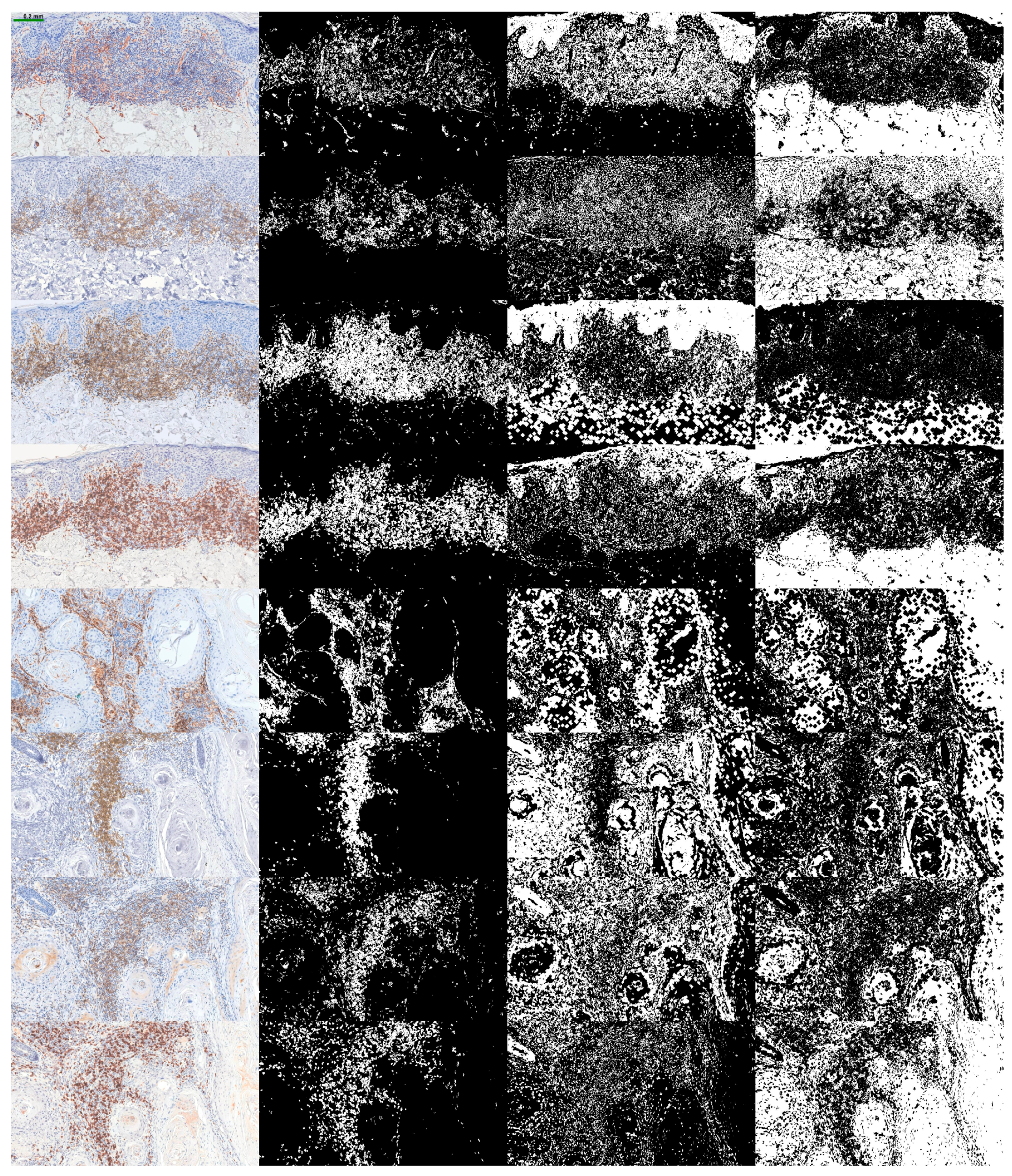 Fractalfract 08 00600 g003 Fractalfract 08 00600 g003
