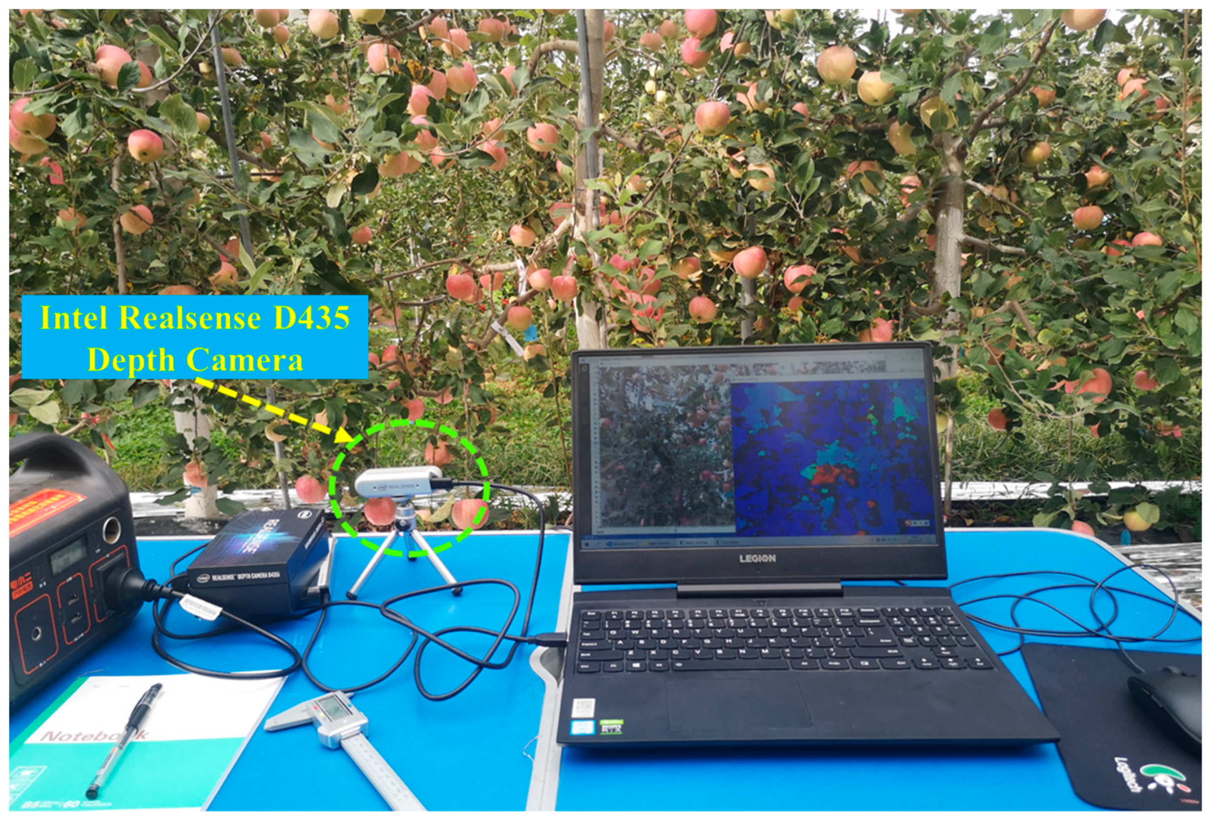 Fractalfract 08 00649 g006