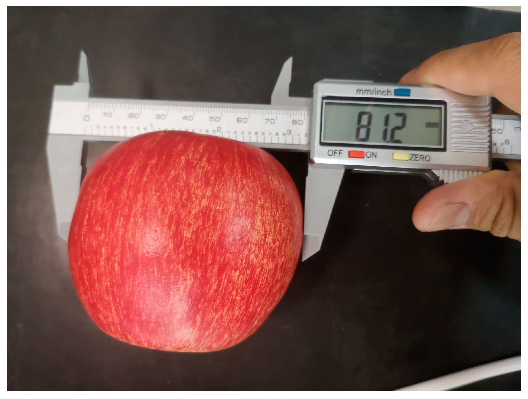 Fractalfract 08 00649 g015