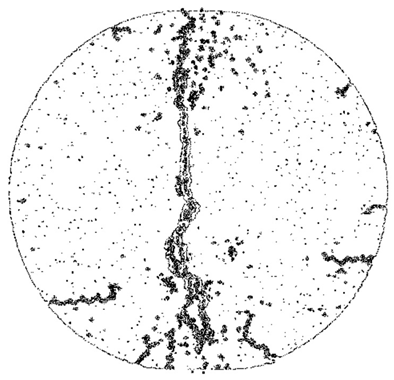 Fractalfract 08 00669 i014