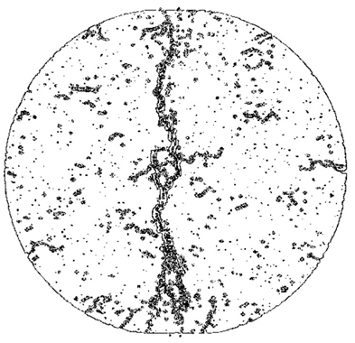 Fractalfract 08 00669 i017