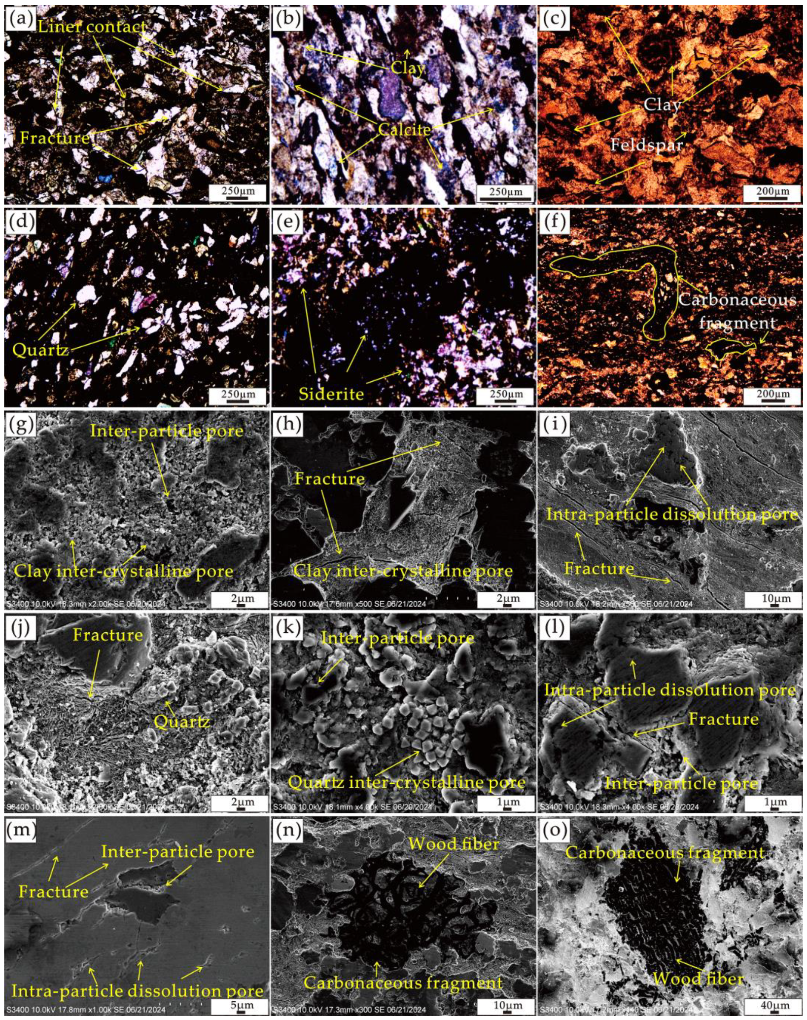 Fractalfract 09 00011 g004
