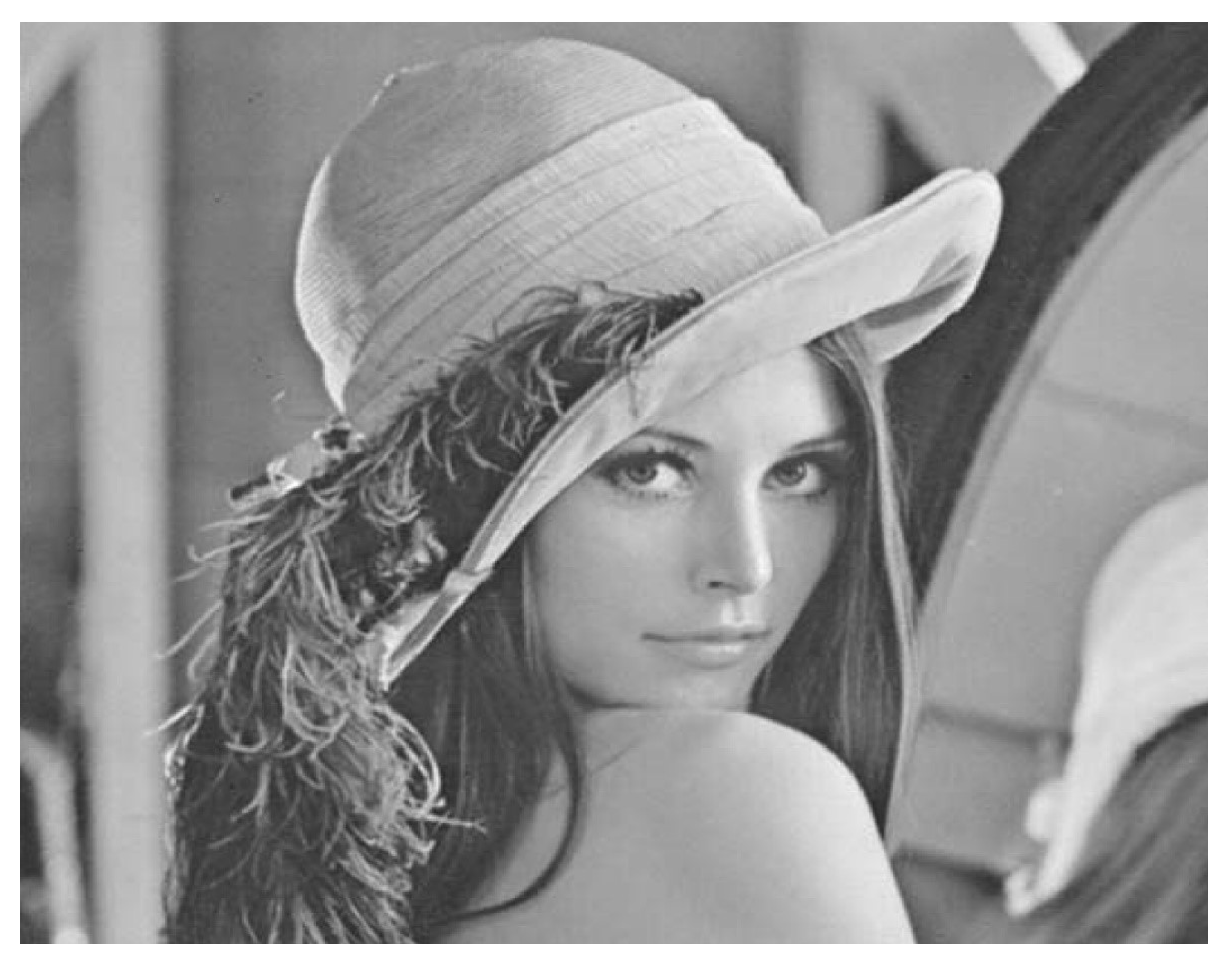 Fractalfract 09 00095 g009