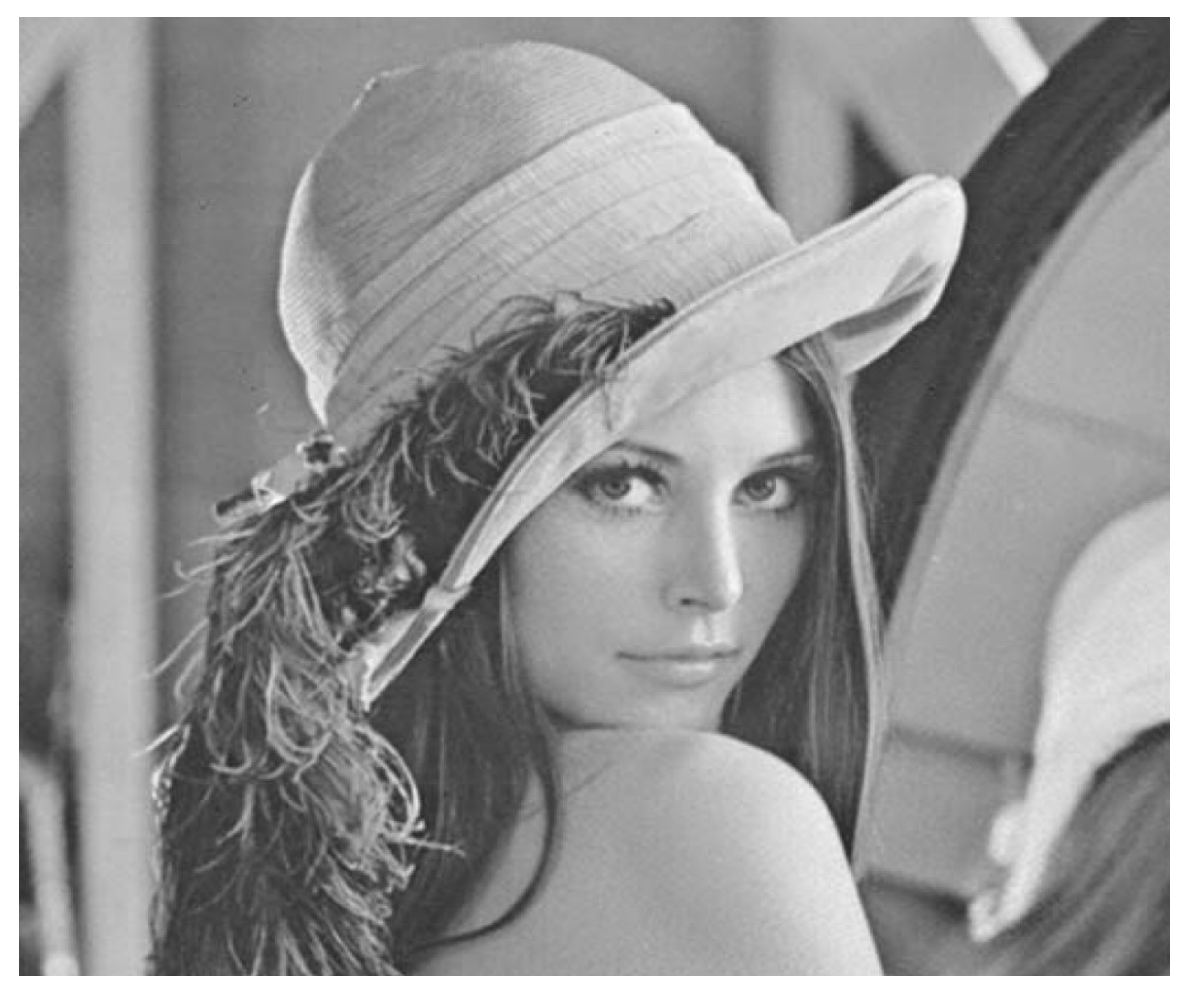 Fractalfract 09 00095 g010