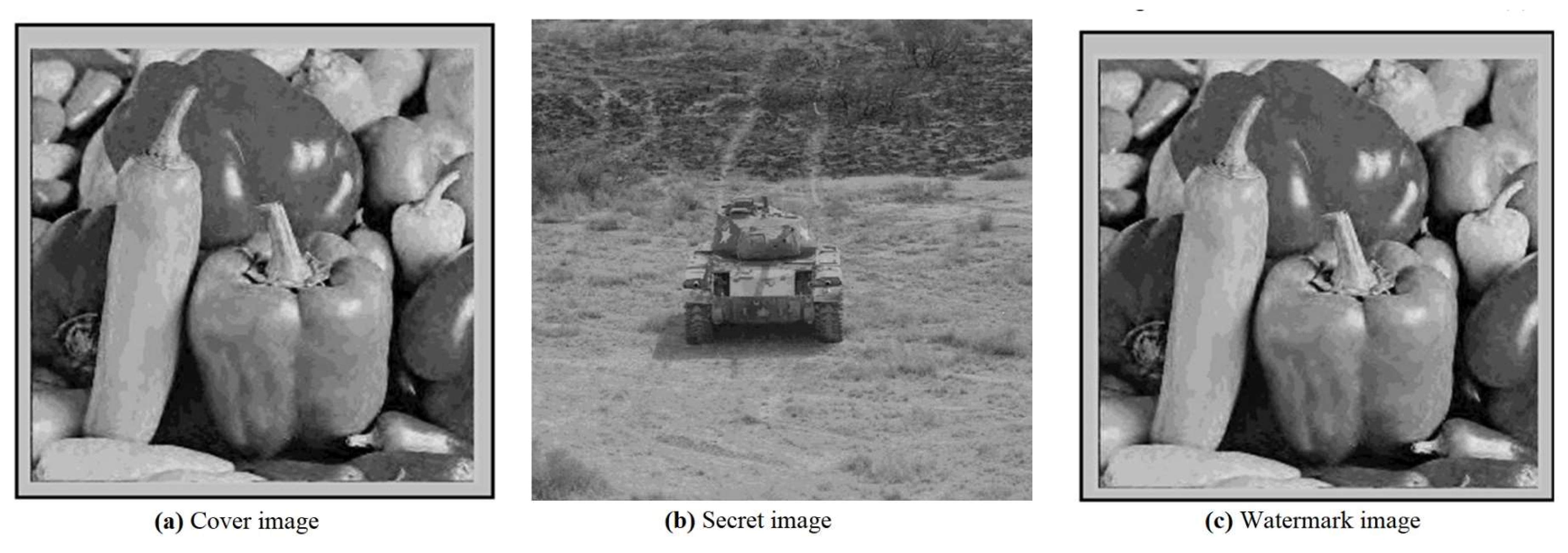 Fractalfract 09 00095 g013