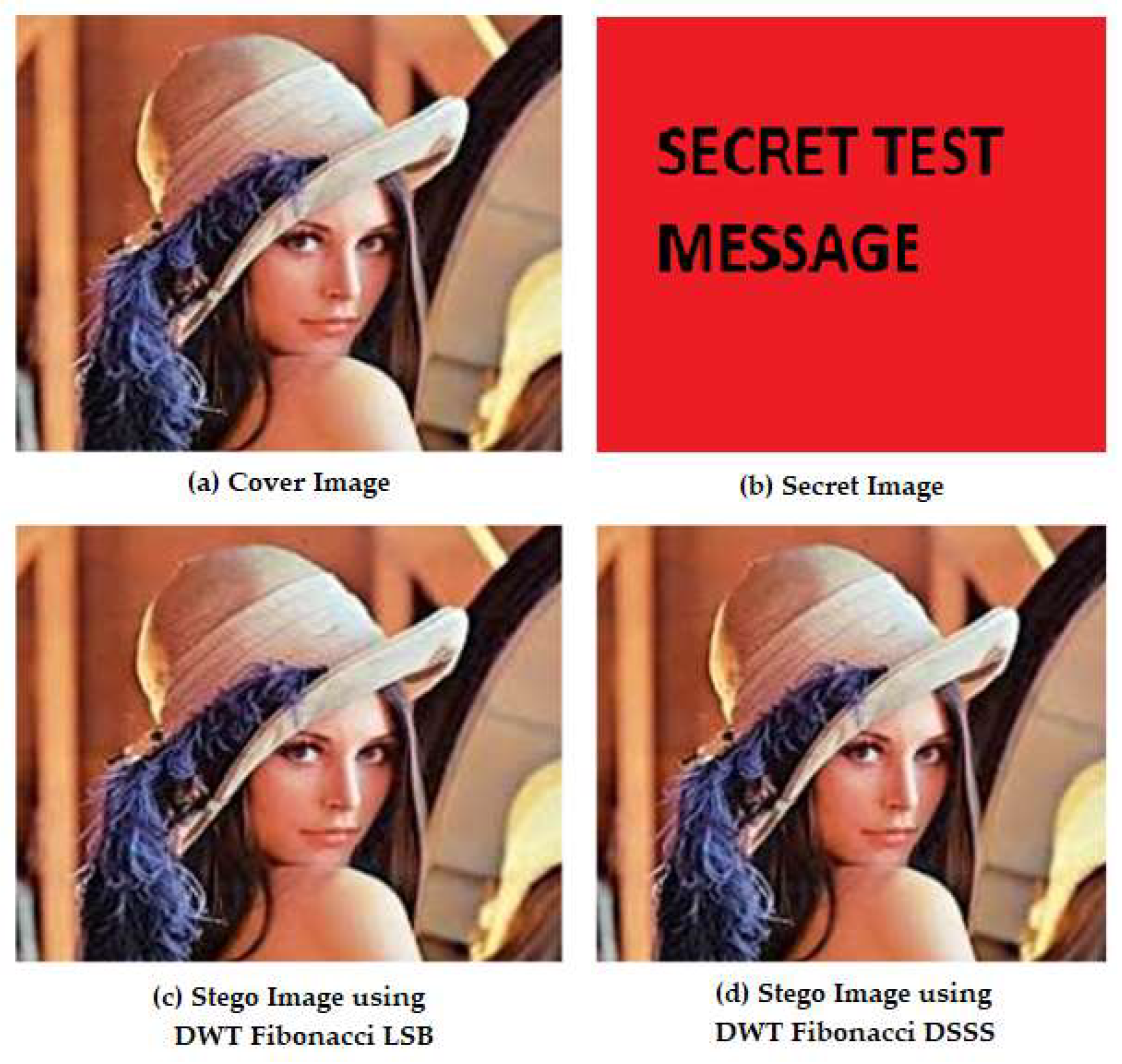 Fractalfract 09 00095 g016