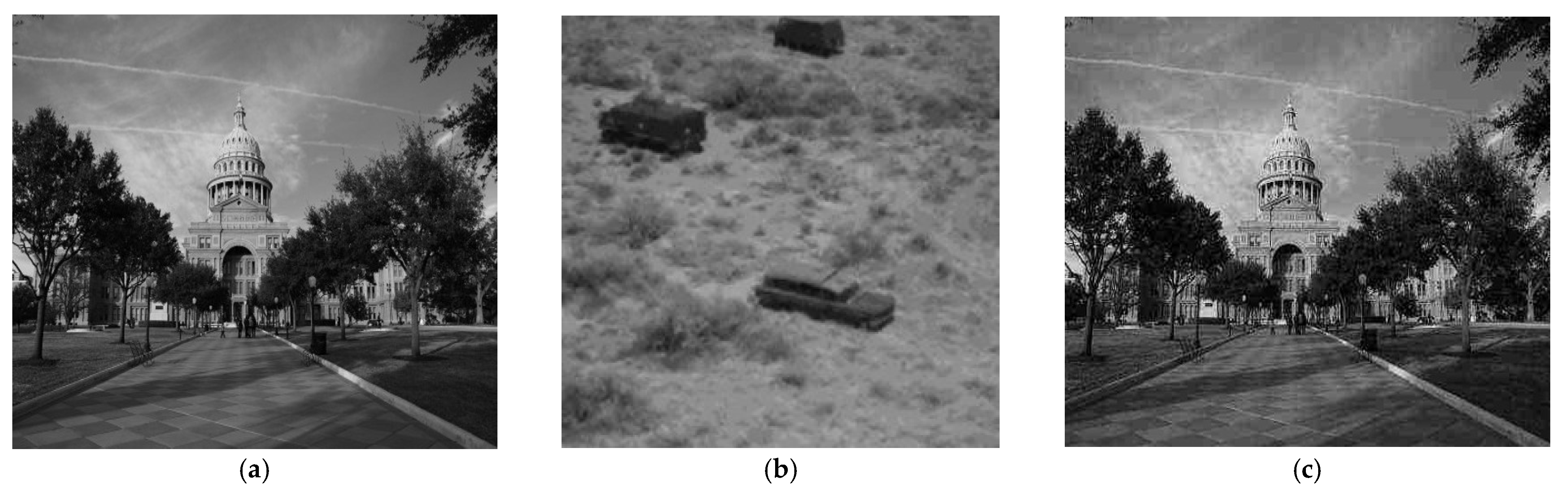 Fractalfract 09 00095 g017