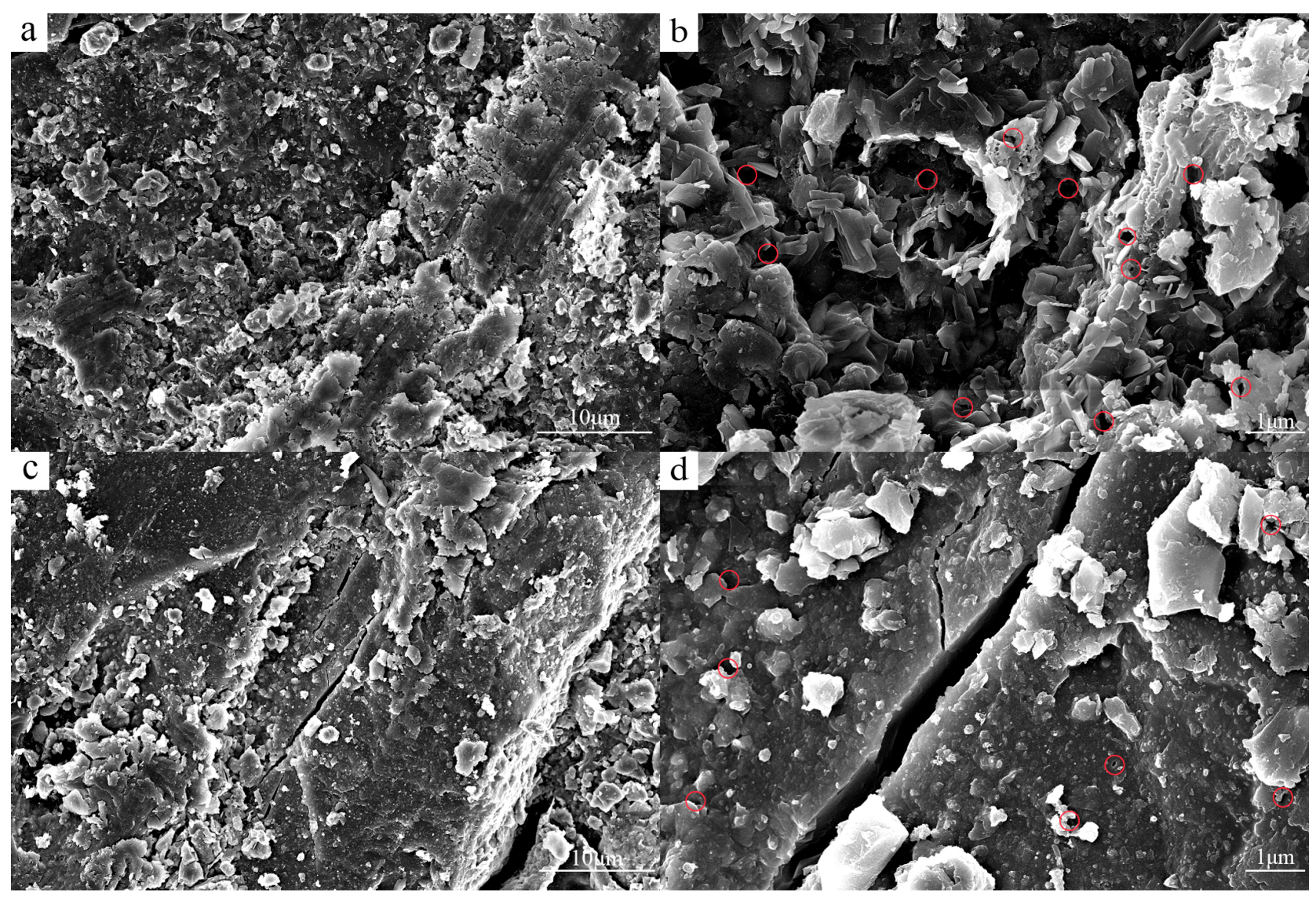 Fractalfract 09 00250 g001
