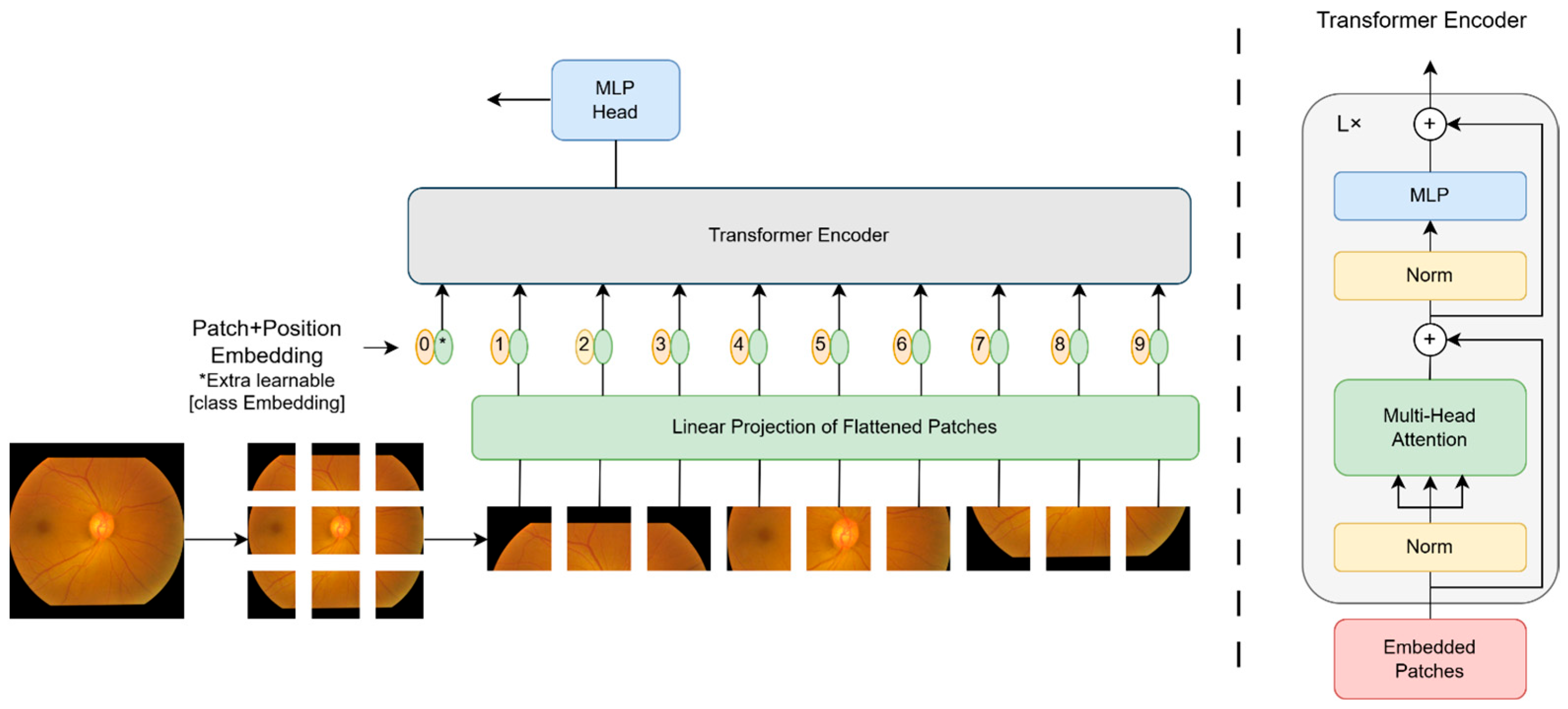 Fractalfract 09 00533 g001