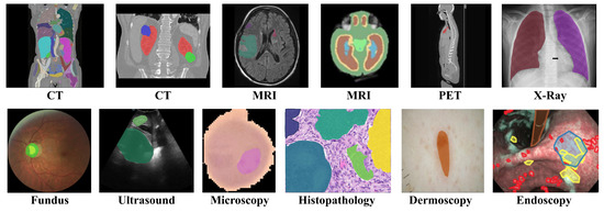 Fractalfract 09 00722 g001