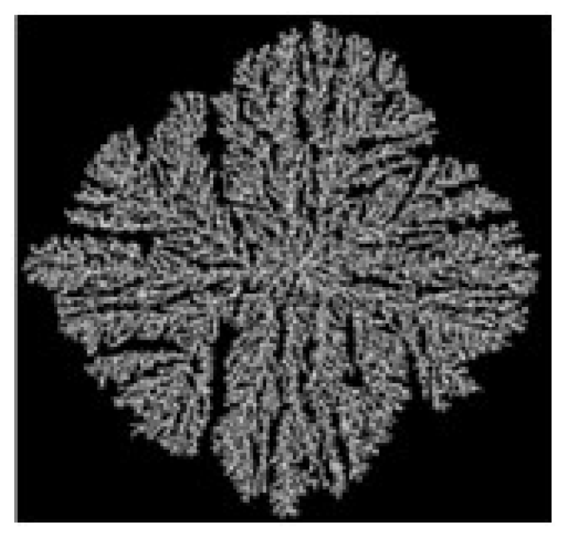 Fractalfract 10 00070 i002